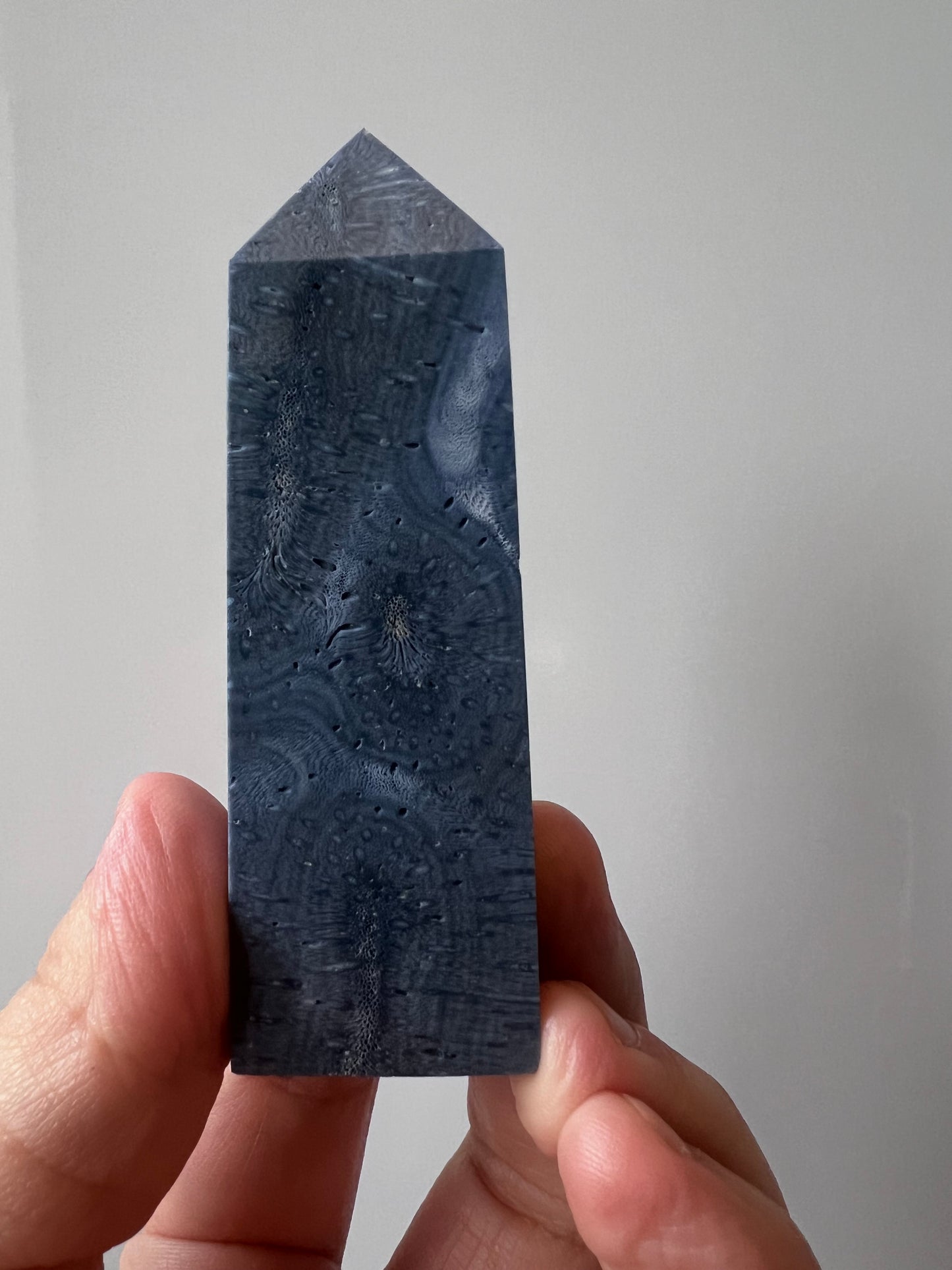 Blue coral Jasper Tower - Indonesia