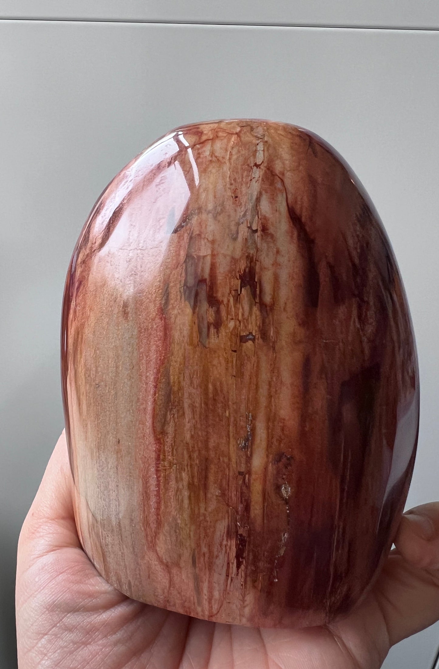 Petrified Wood Freeform with Quartz – Earth Healing Stone - Madagascar