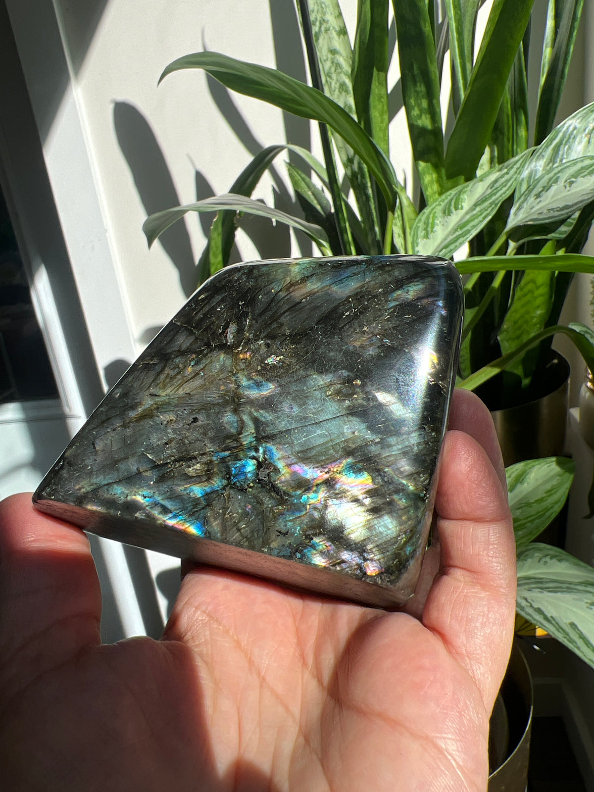 Magical Labradorite Freeform