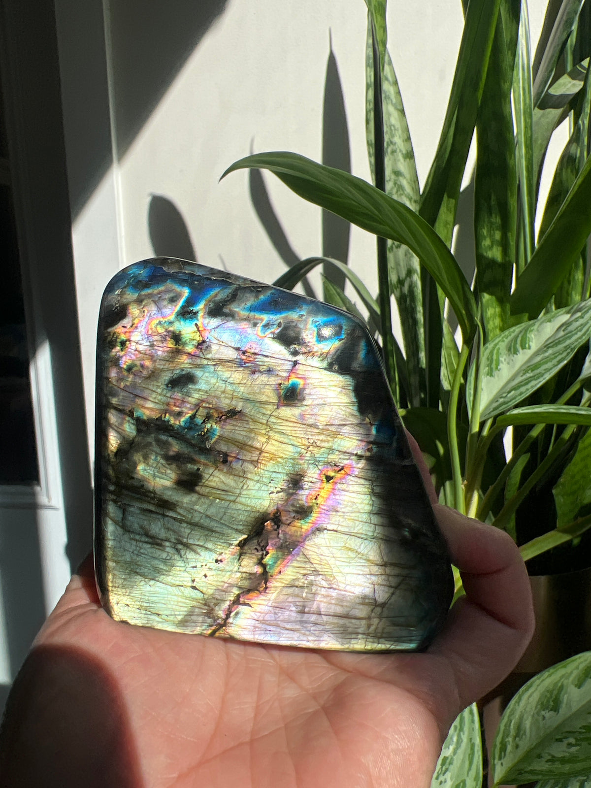 Magical Labradorite Freeform
