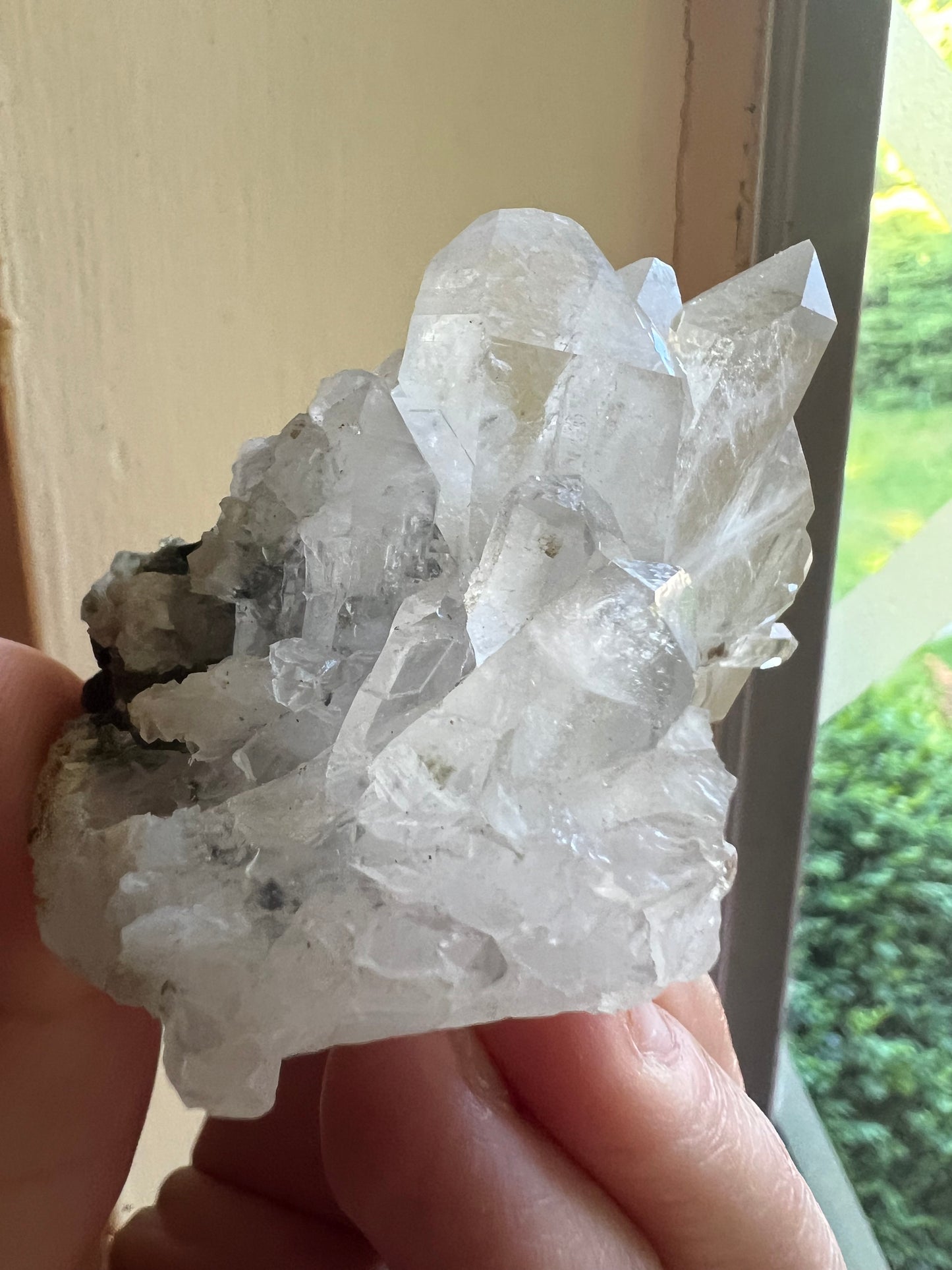 Himalayan Phantom Quartz with Chlorite