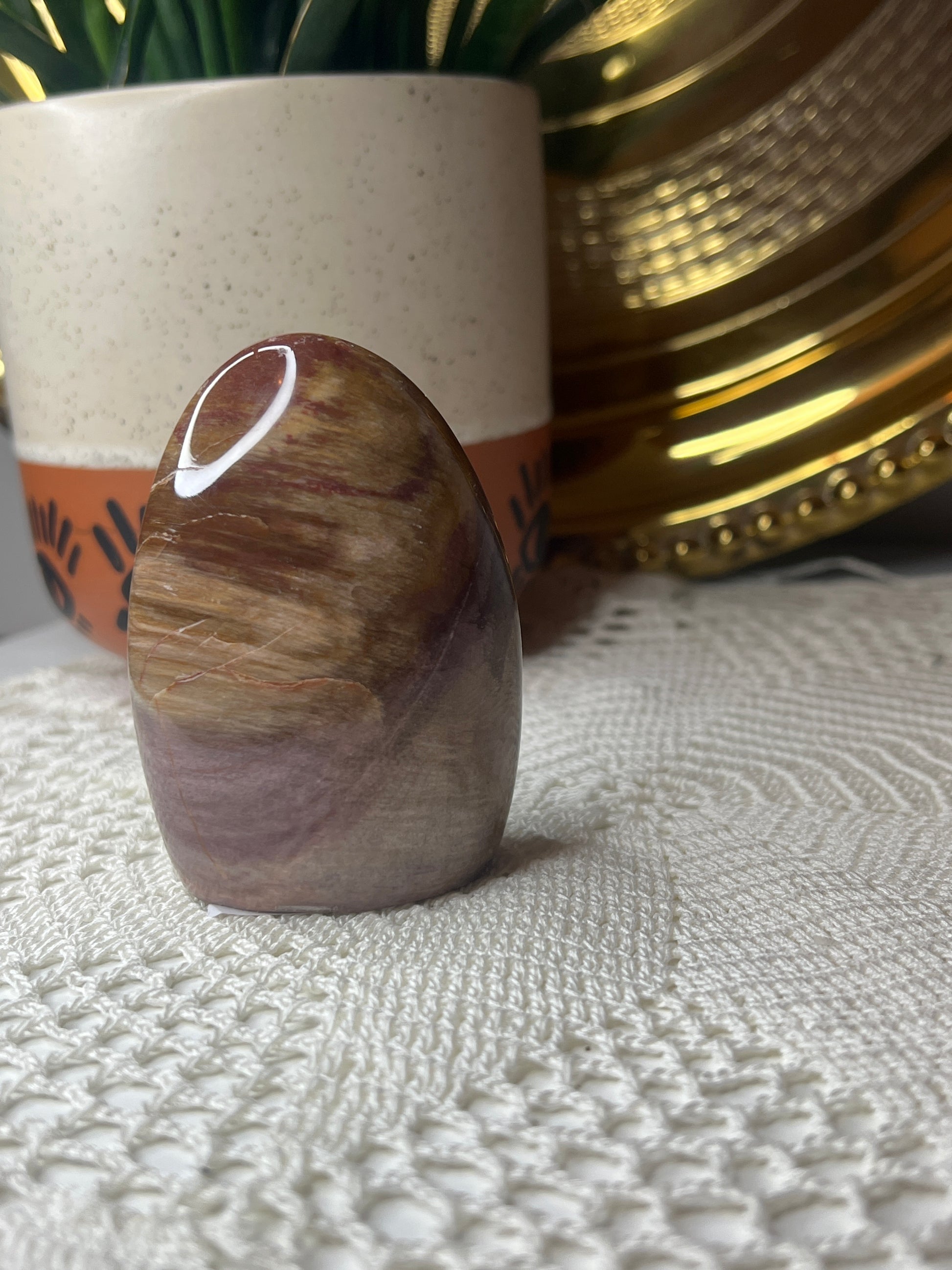 Petrified Wood Freeform - Raven + Sage