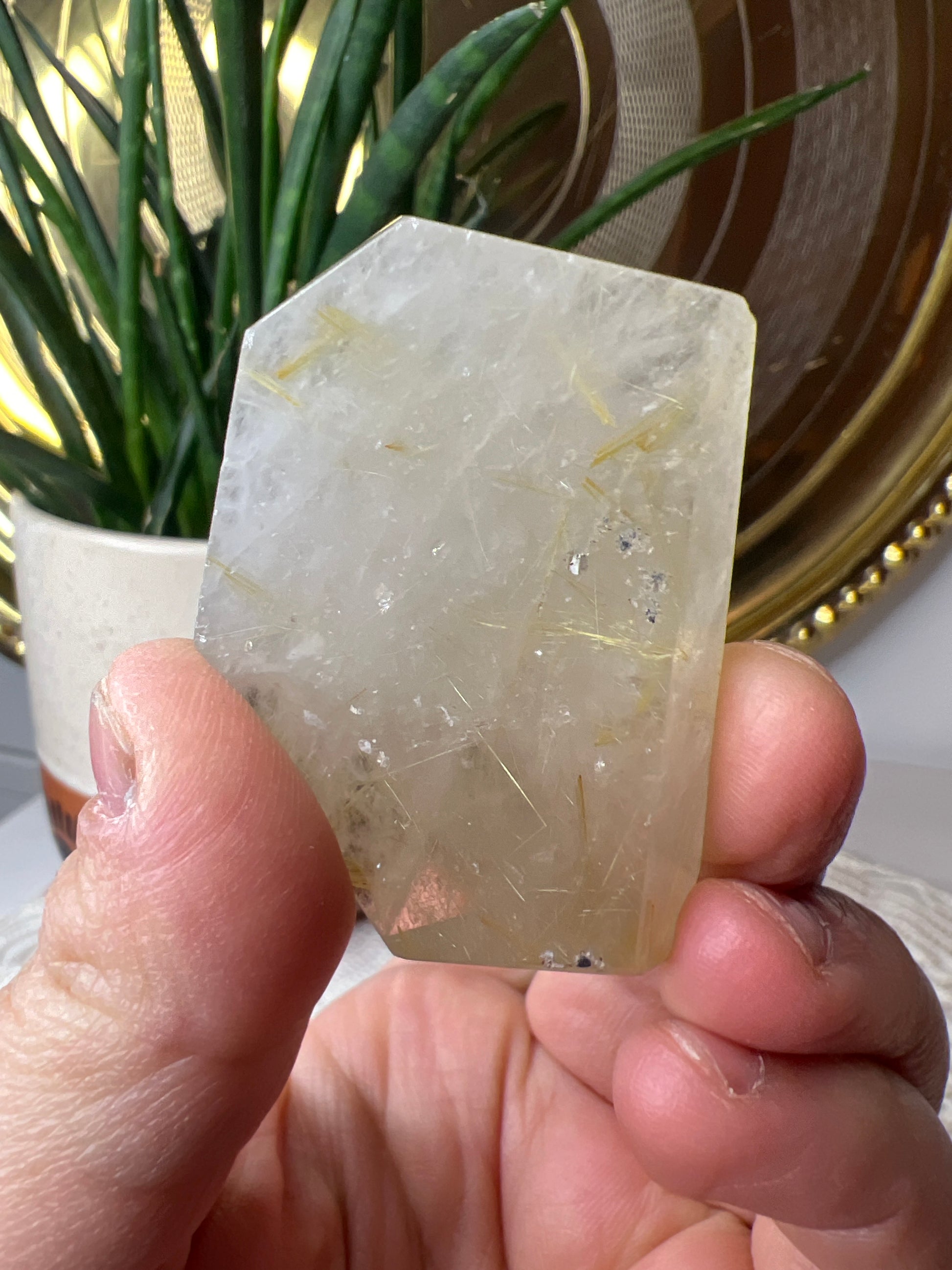 Ruitilated Quartz Gusher - Raven + Sage