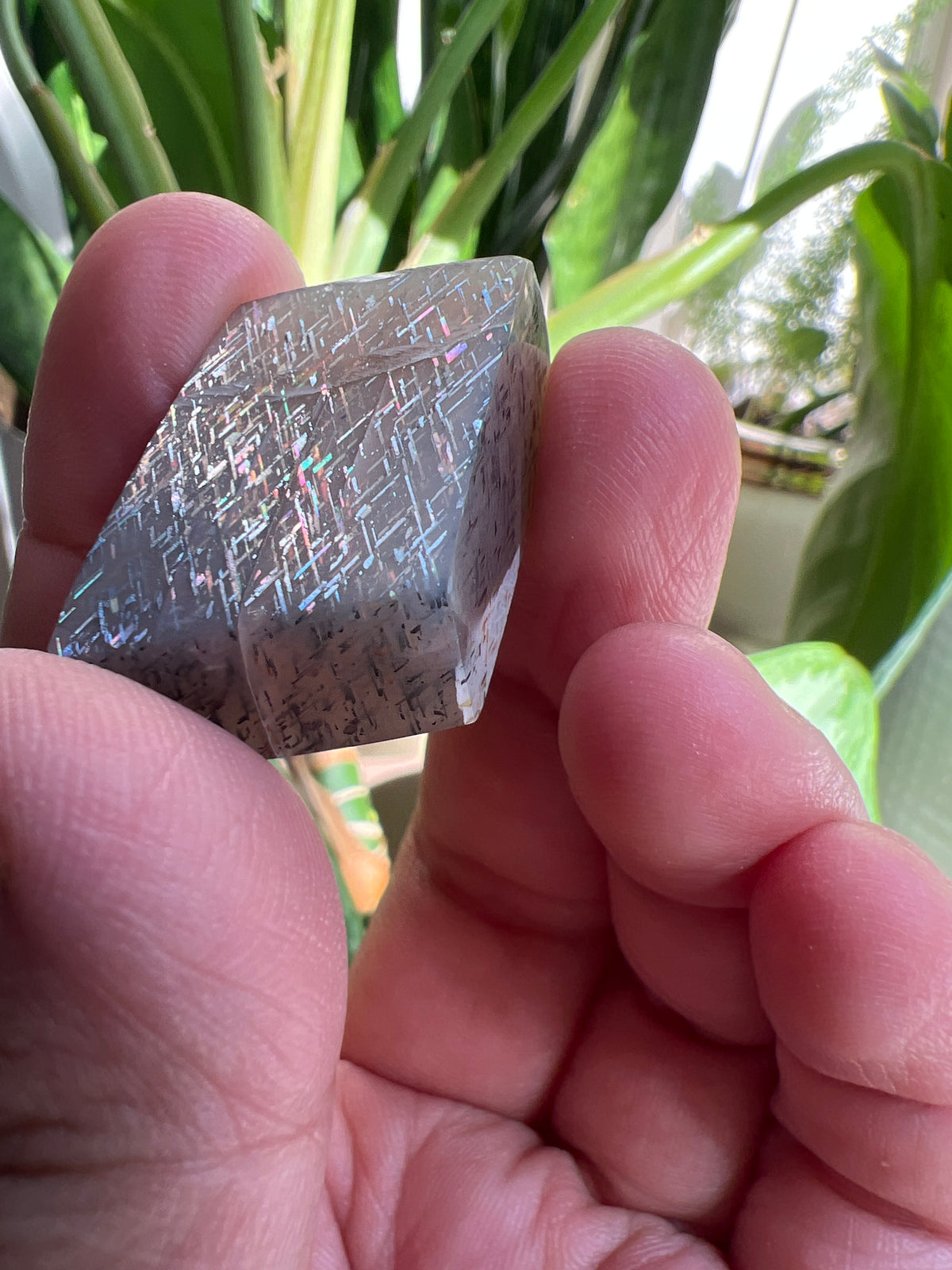Lattice  Sunstone