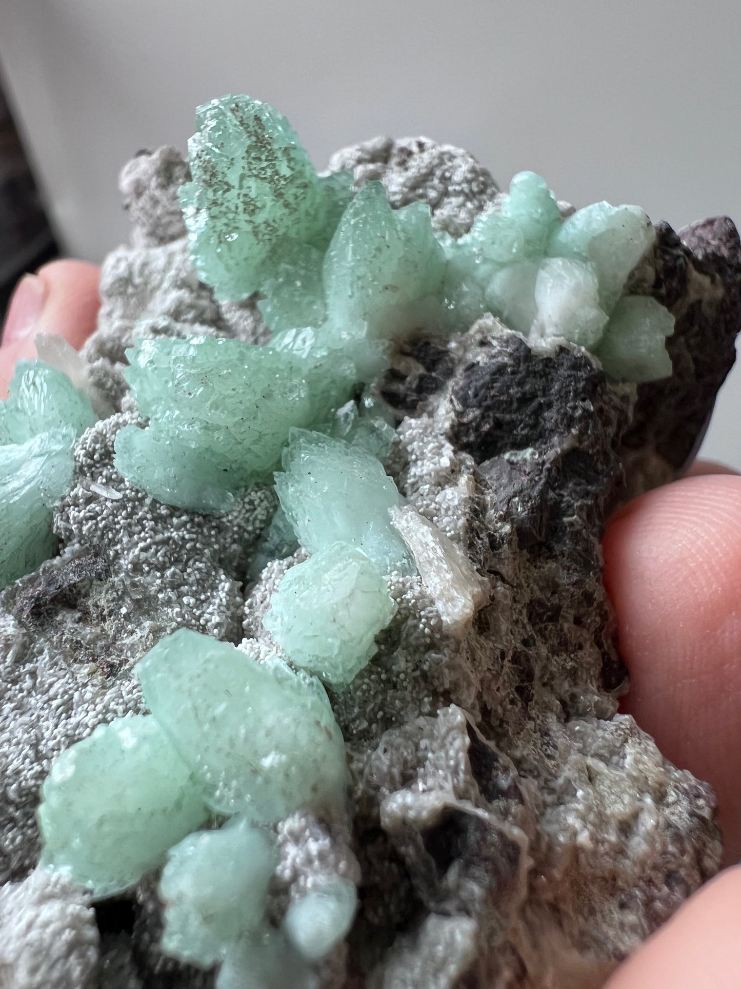 Green Apophyllite Cluster - India