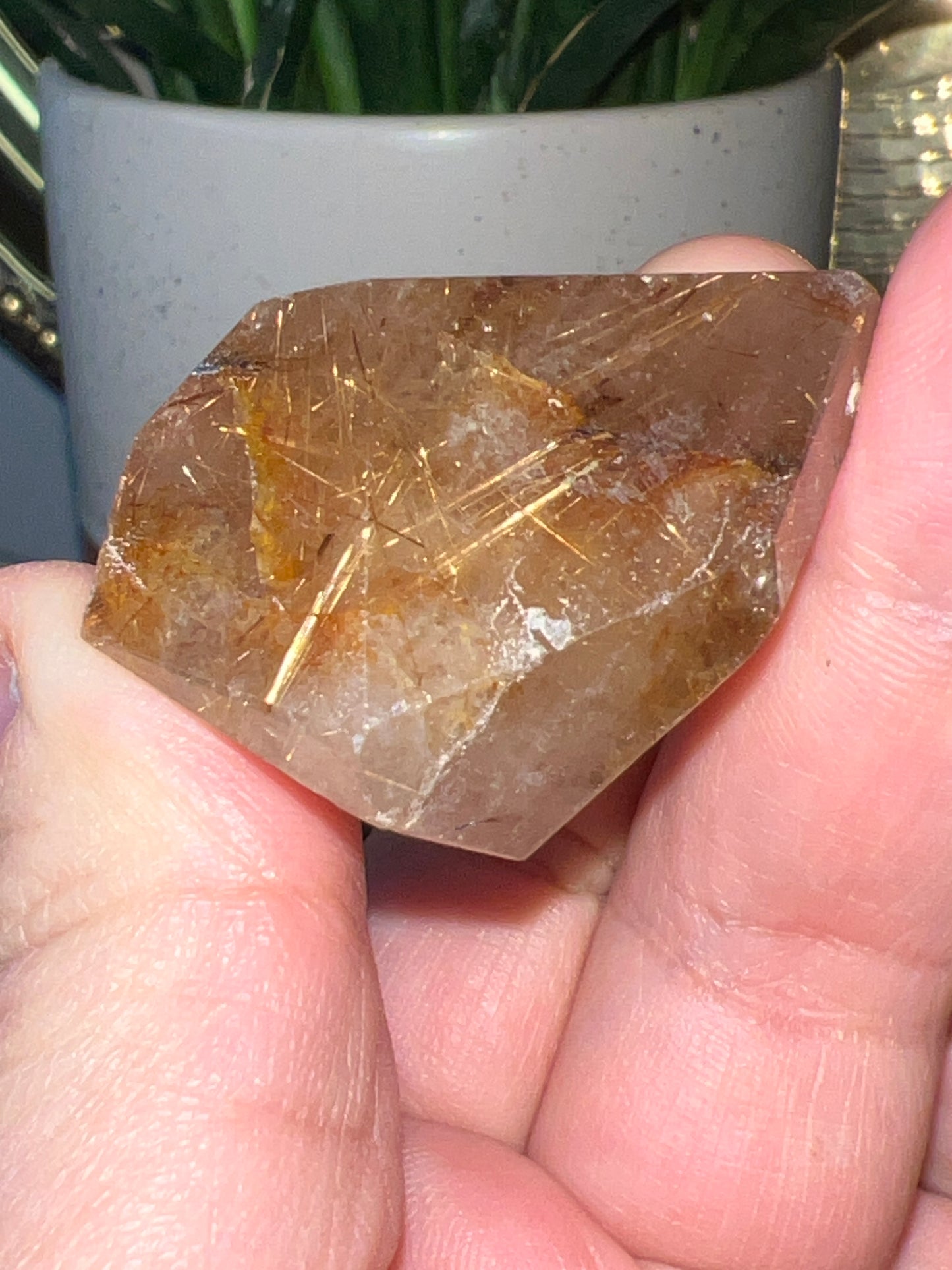 Ruitilated Quartz Gusher - Raven + Sage
