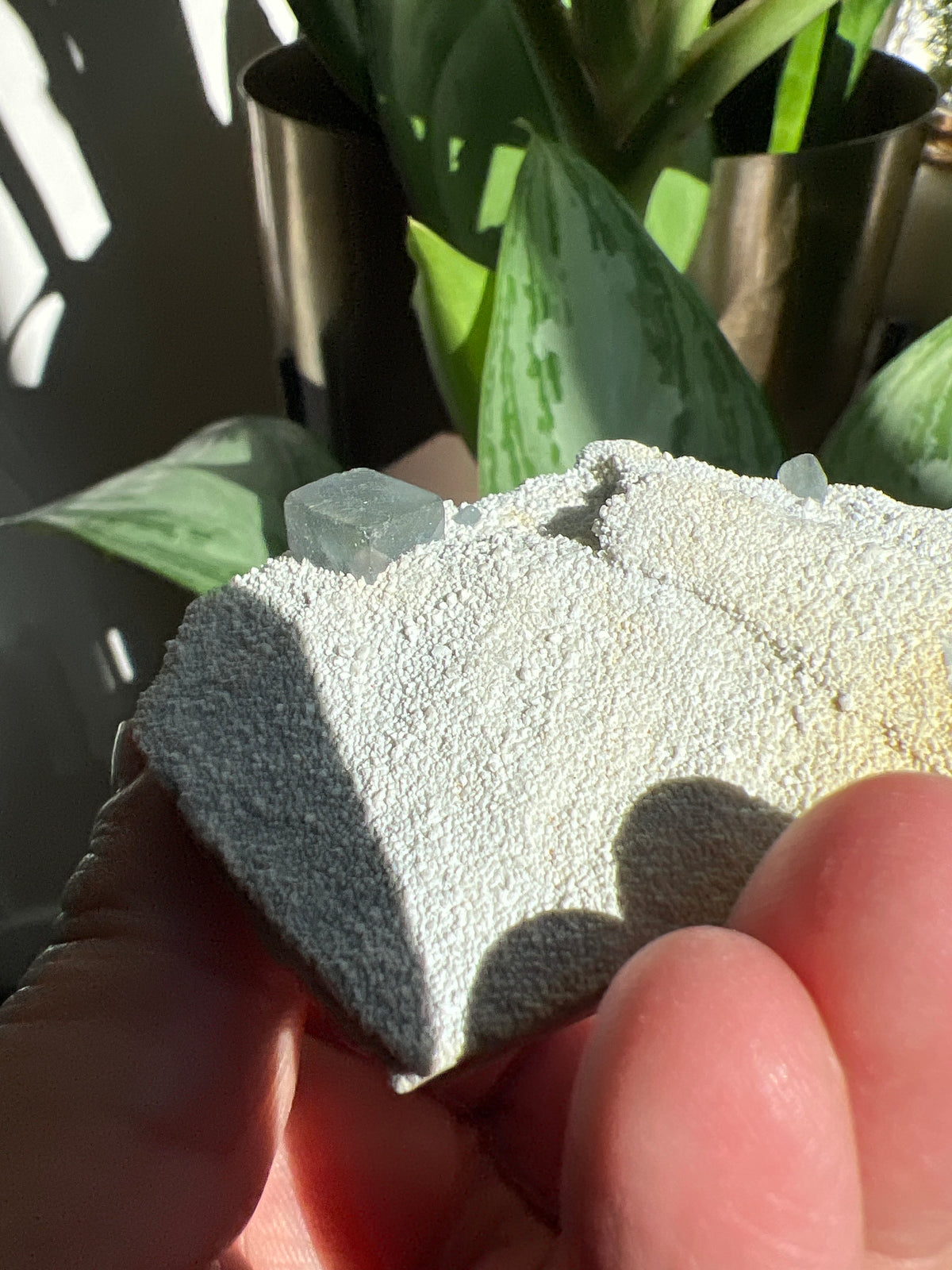 Morandi Fluorite