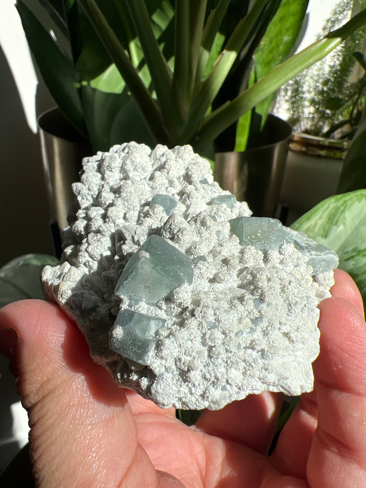 Morandi Fluorite