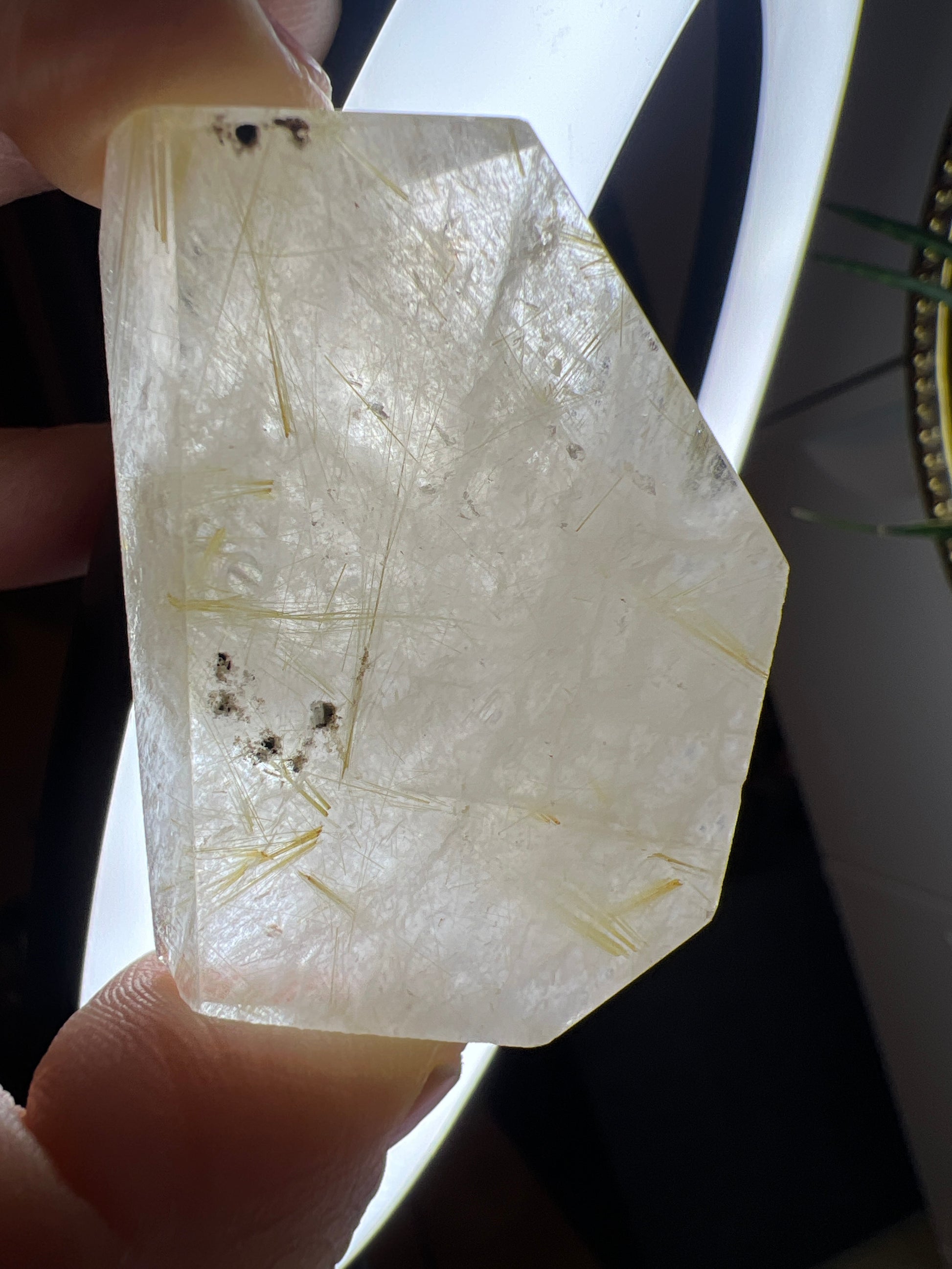 Ruitilated Quartz Gusher - Raven + Sage