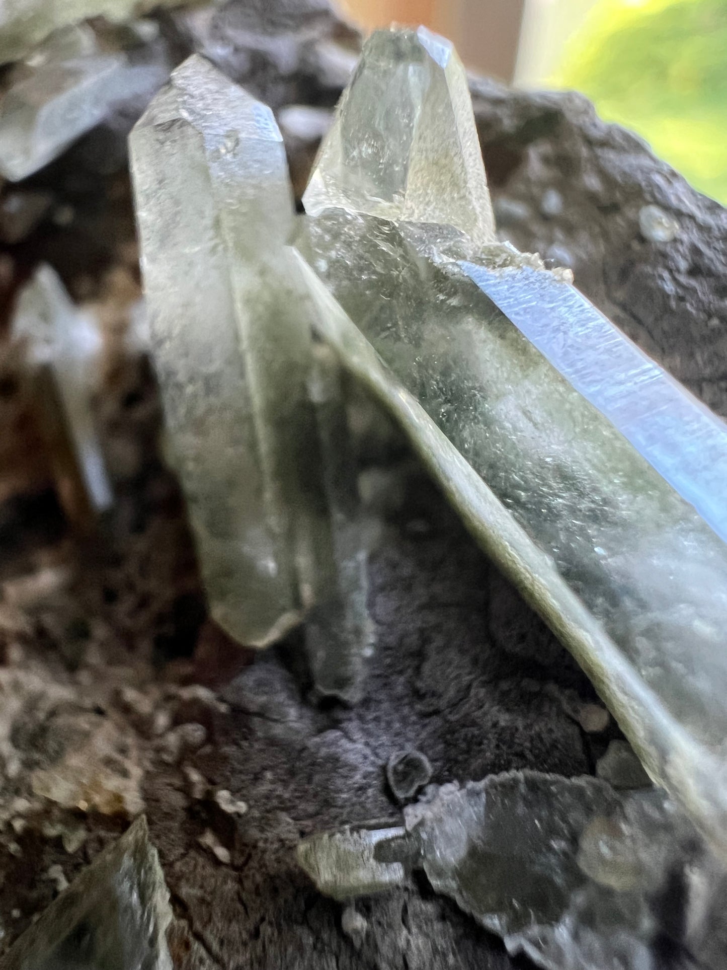 Himalayan Phantom Quartz with Chlorite