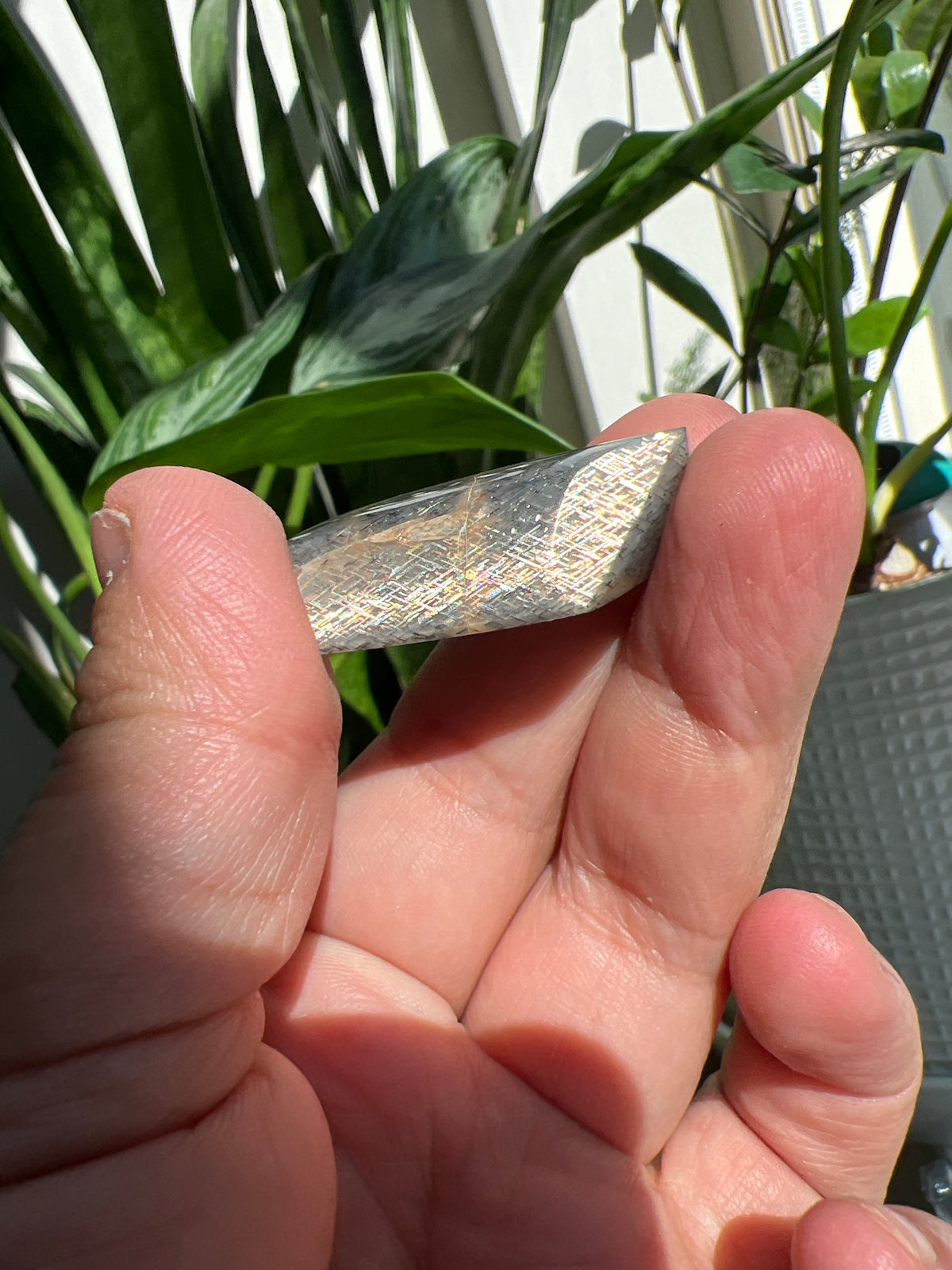 Sunstone Lattice