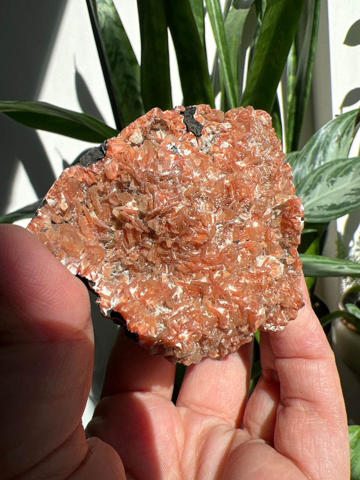Orange Heulandite cluster