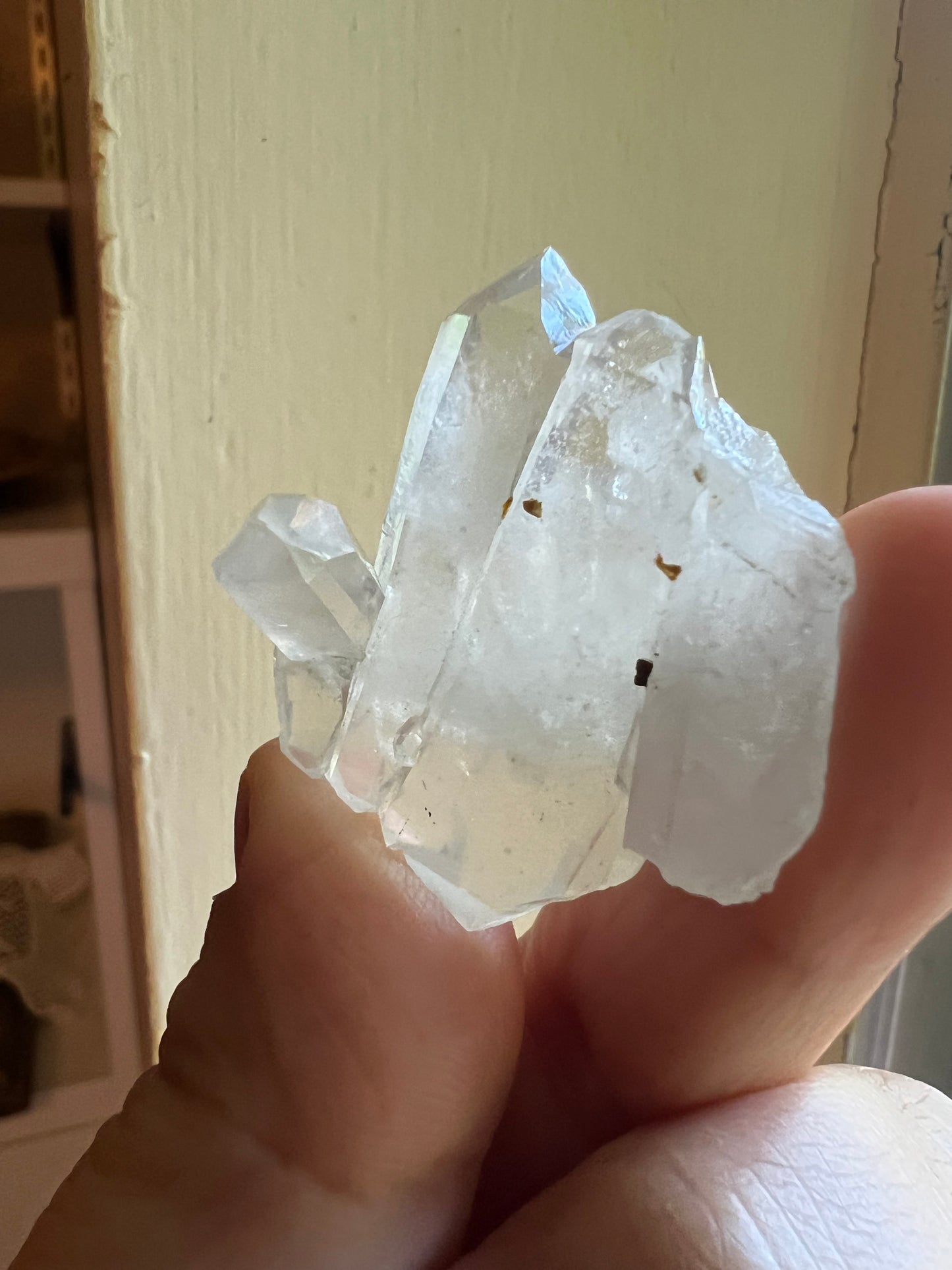 Himalayan Phantom Quartz with Chlorite
