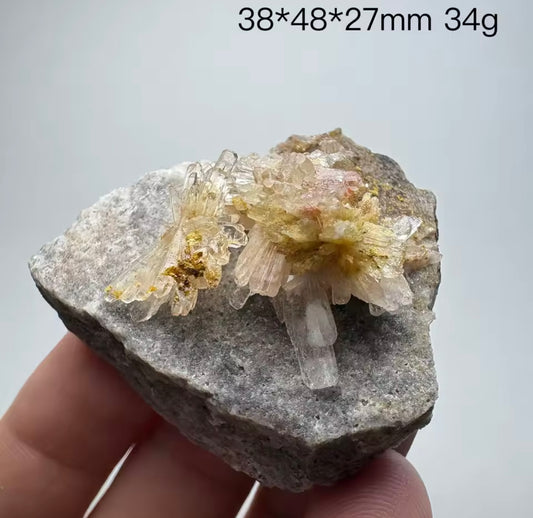 Clear Quartz “Scepter Flower” Cluster on Matrix (RARE FORMATION) - China