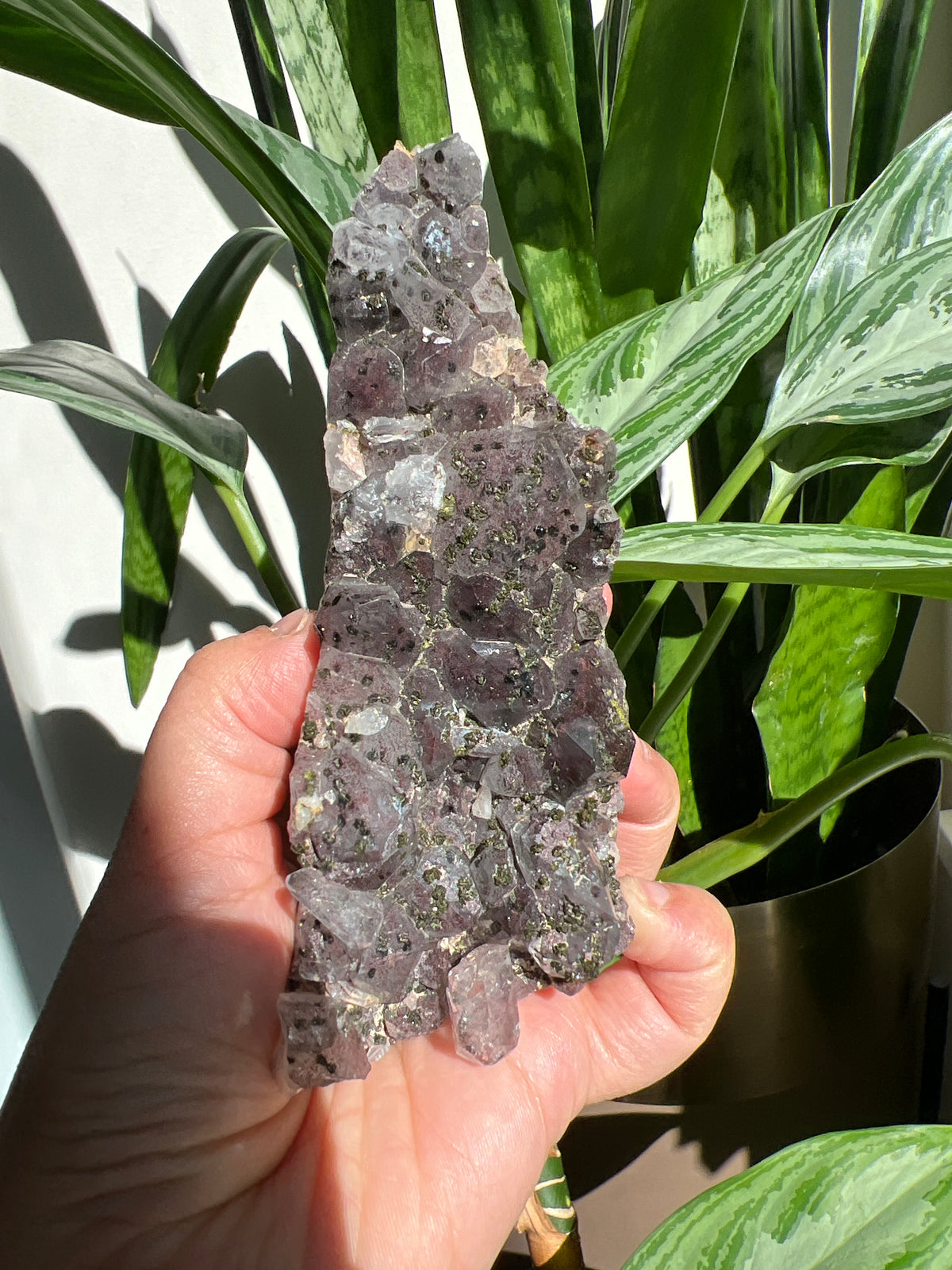 Rare* Super Seven with epidote Cluster