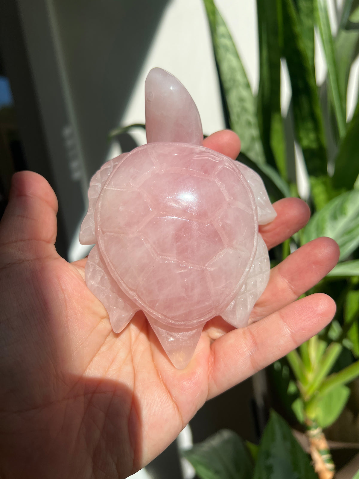 Rose Quartz Turtle