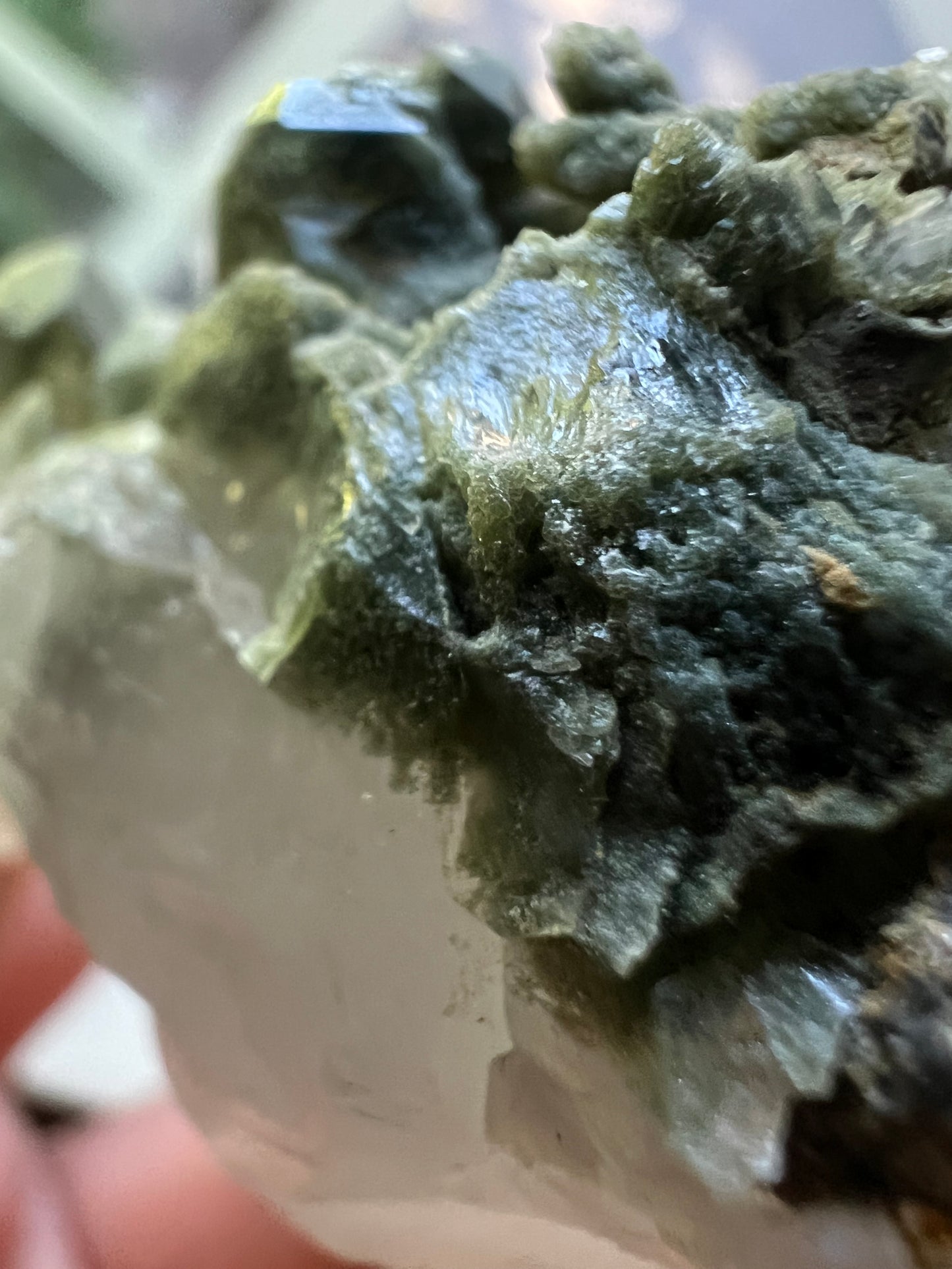 Himalayan Phantom Quartz with Chlorite
