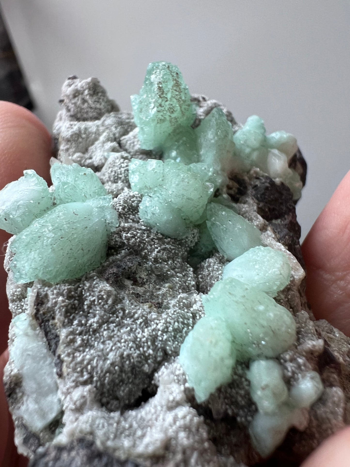 Green Apophyllite Cluster - India
