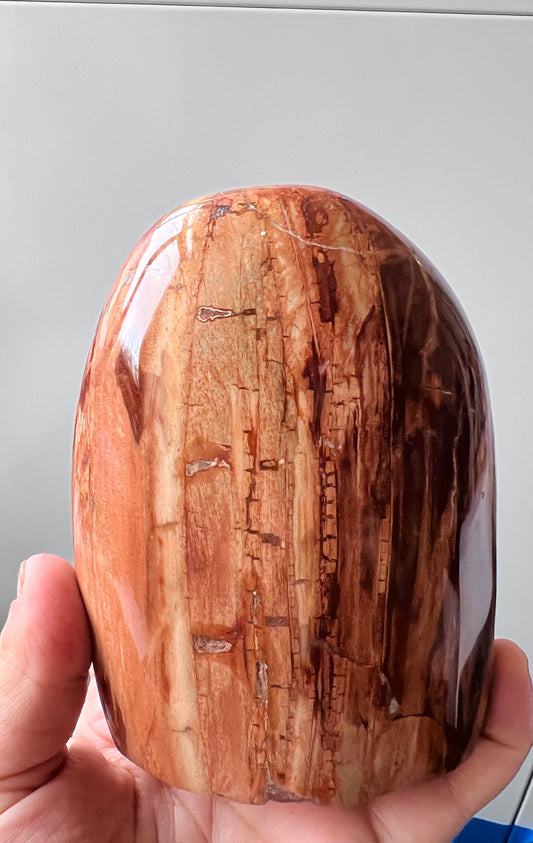 Petrified Wood Freeform with Quartz – Earth Healing Stone - Madagascar