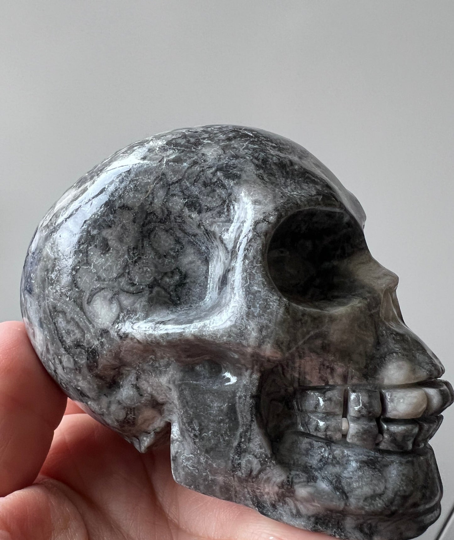 Ammonite Fossil Skull Carving – Morocco