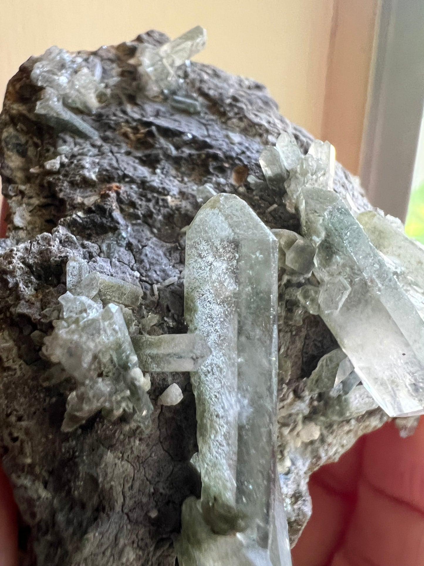 Himalayan Phantom Quartz with Chlorite