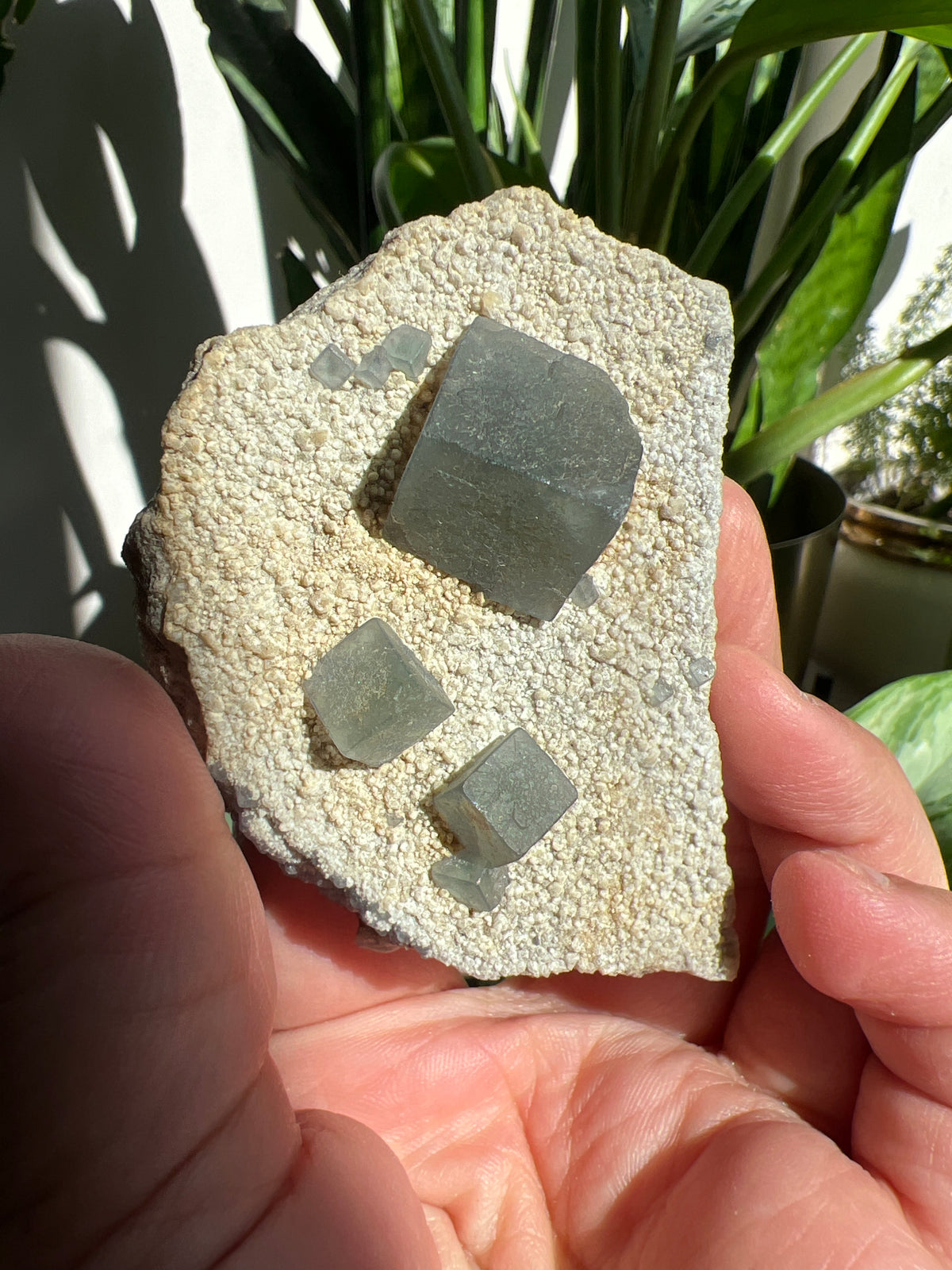 Morandi Fluorite