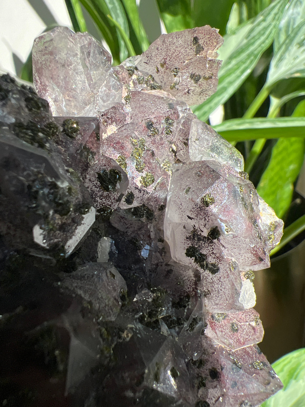 Rare* Super Seven with epidote Cluster