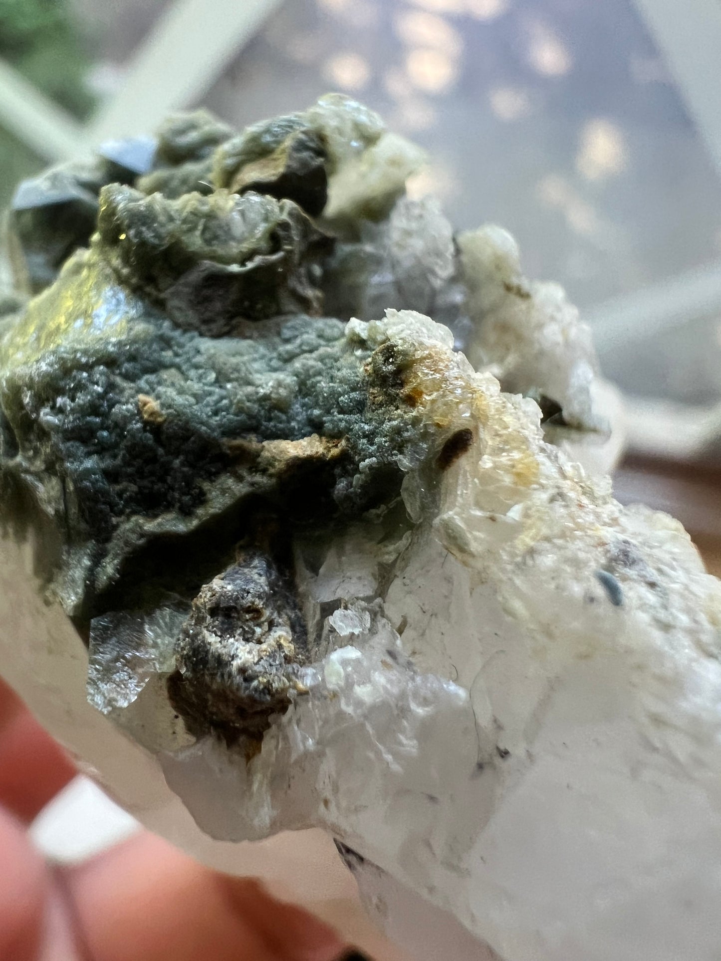 Himalayan Phantom Quartz with Chlorite