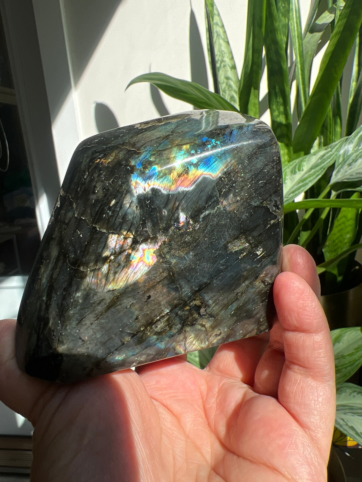 Magical Labradorite Freeform