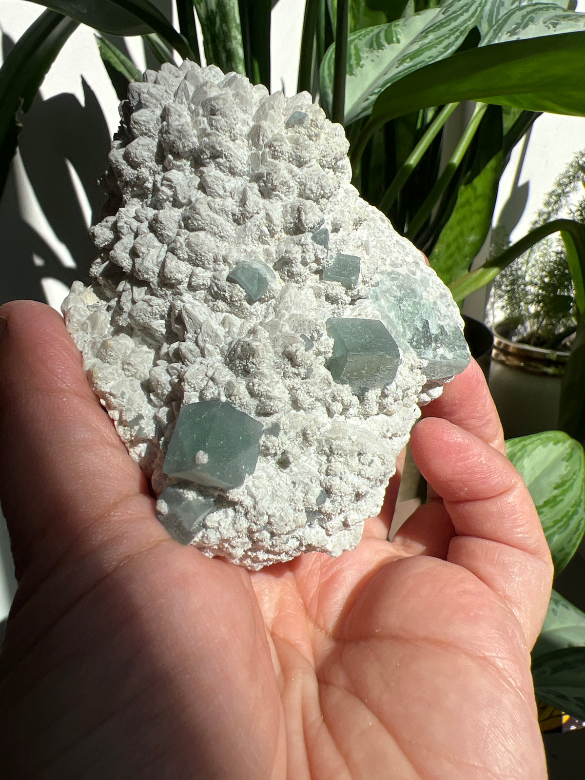 Morandi Fluorite
