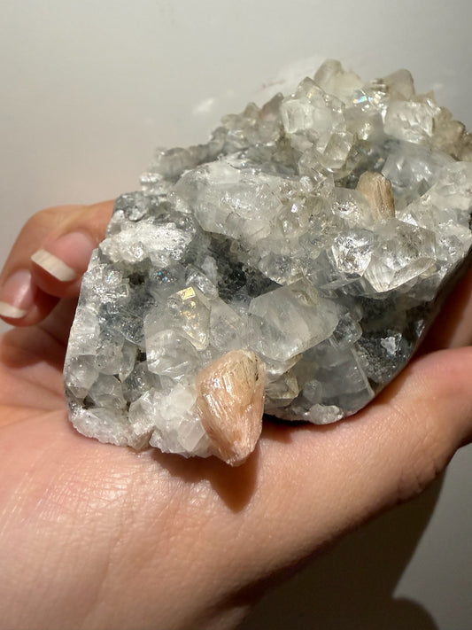 Apophyllite with Peach Stilbite Cluster - India - Raven + Sage