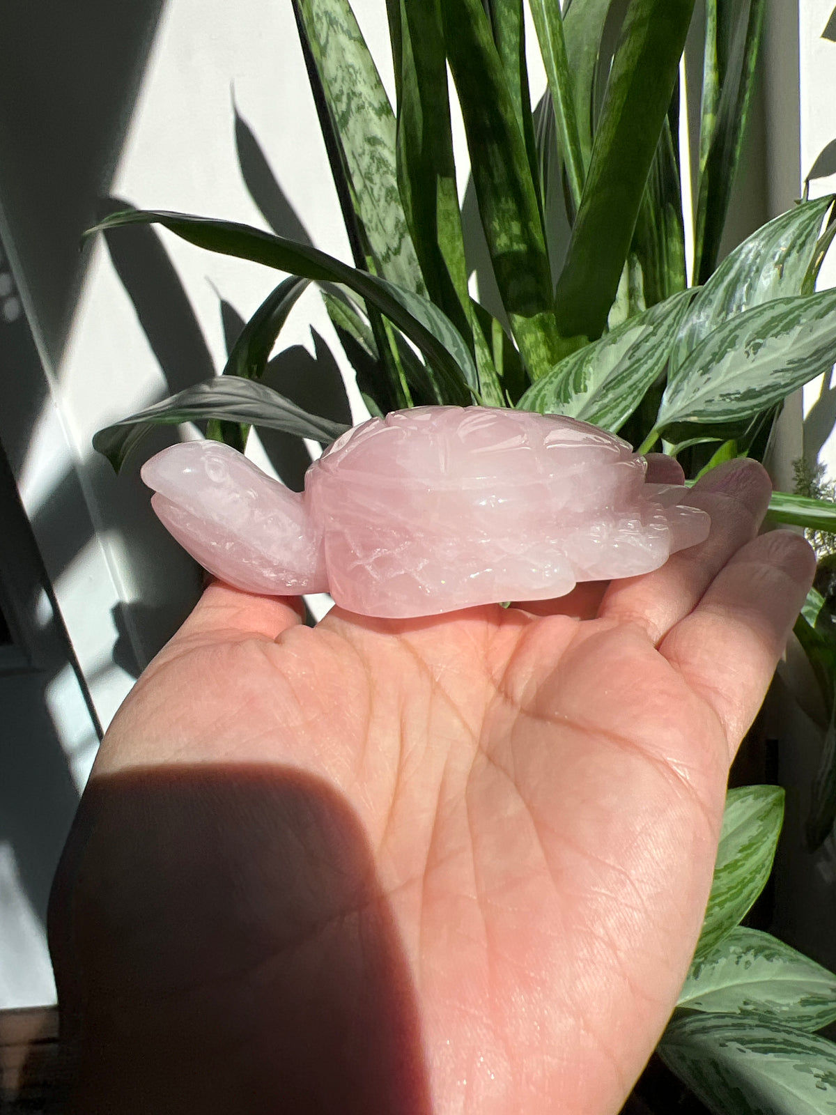 Rose Quartz Turtle