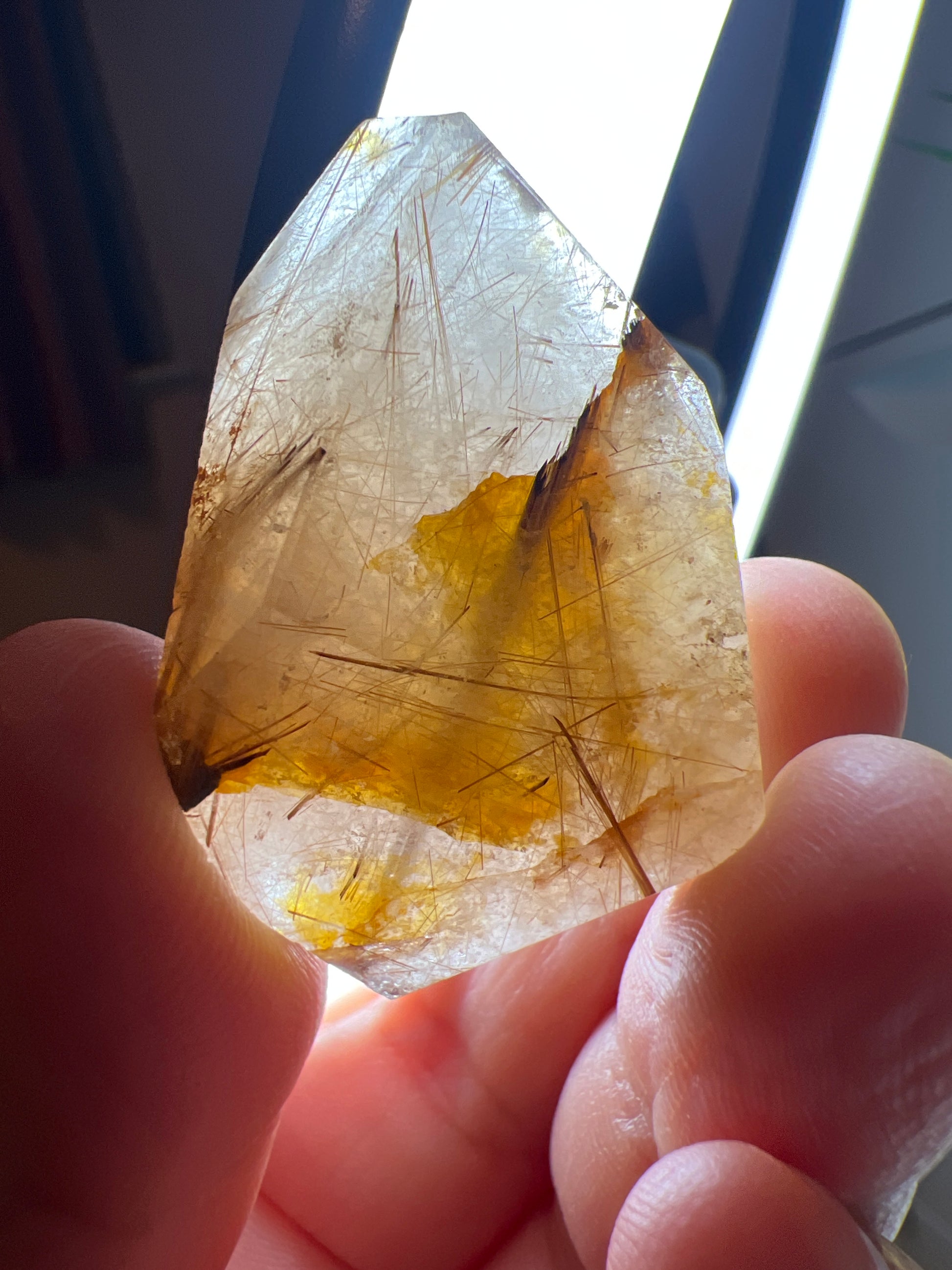 Ruitilated Quartz Gusher - Raven + Sage