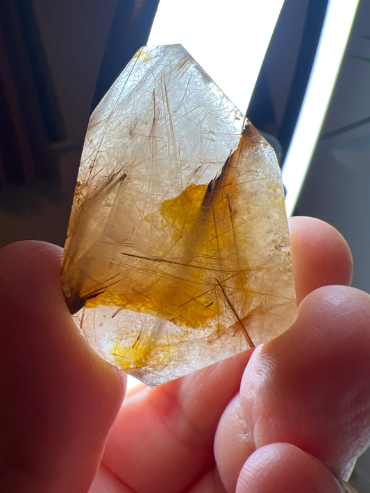 Ruitilated Quartz Gusher - Raven + Sage