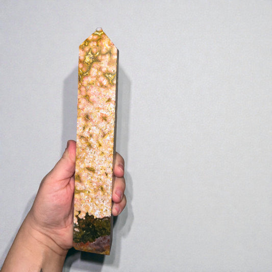 *Rare* Orbicular Ocean Jasper - Madagascar