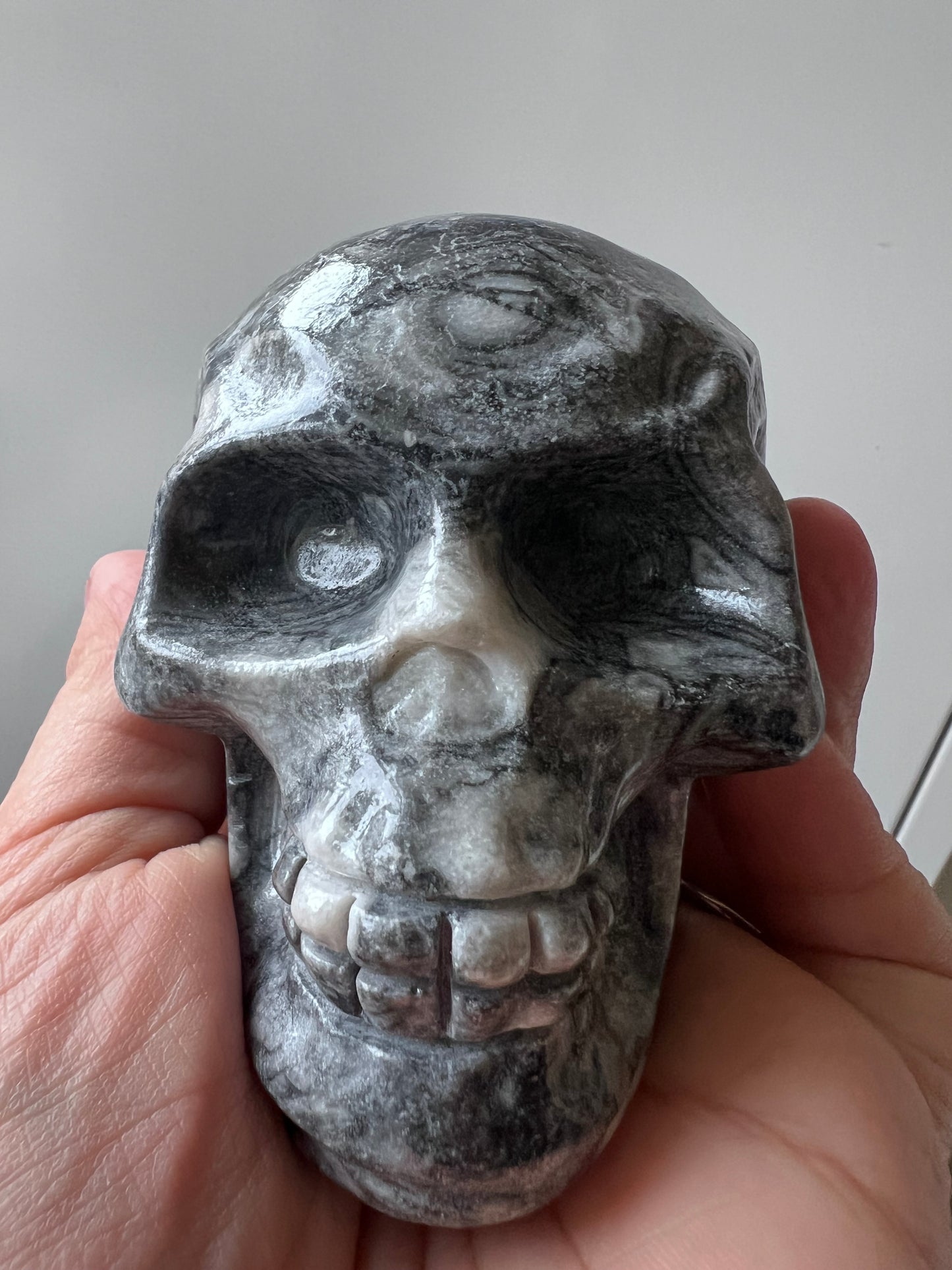 Ammonite Fossil Skull Carving – Morocco