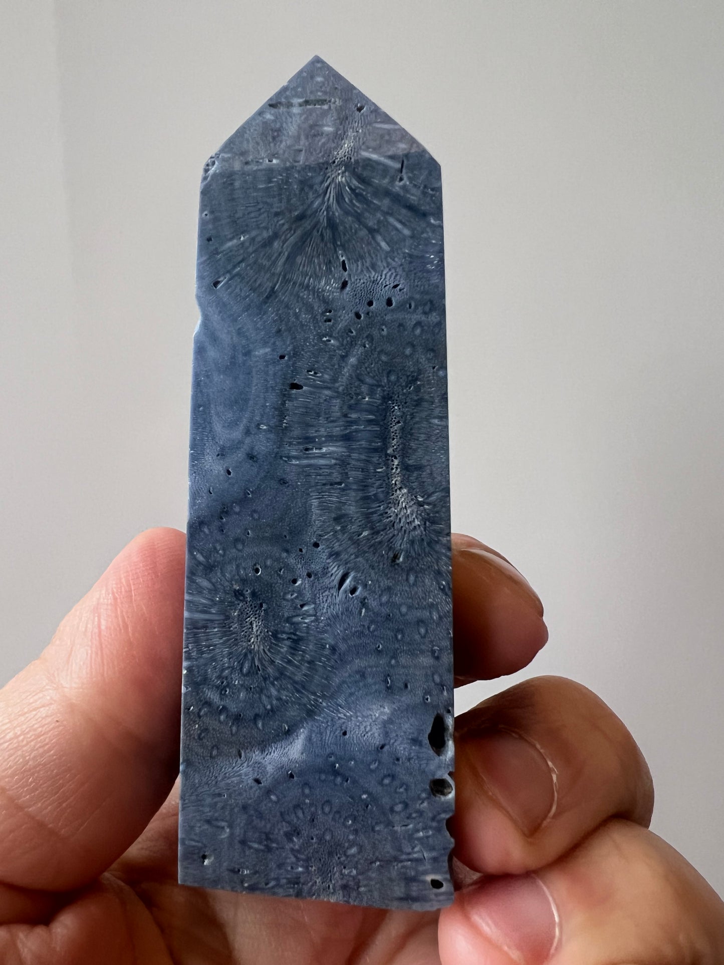 Blue coral Jasper Tower - Indonesia