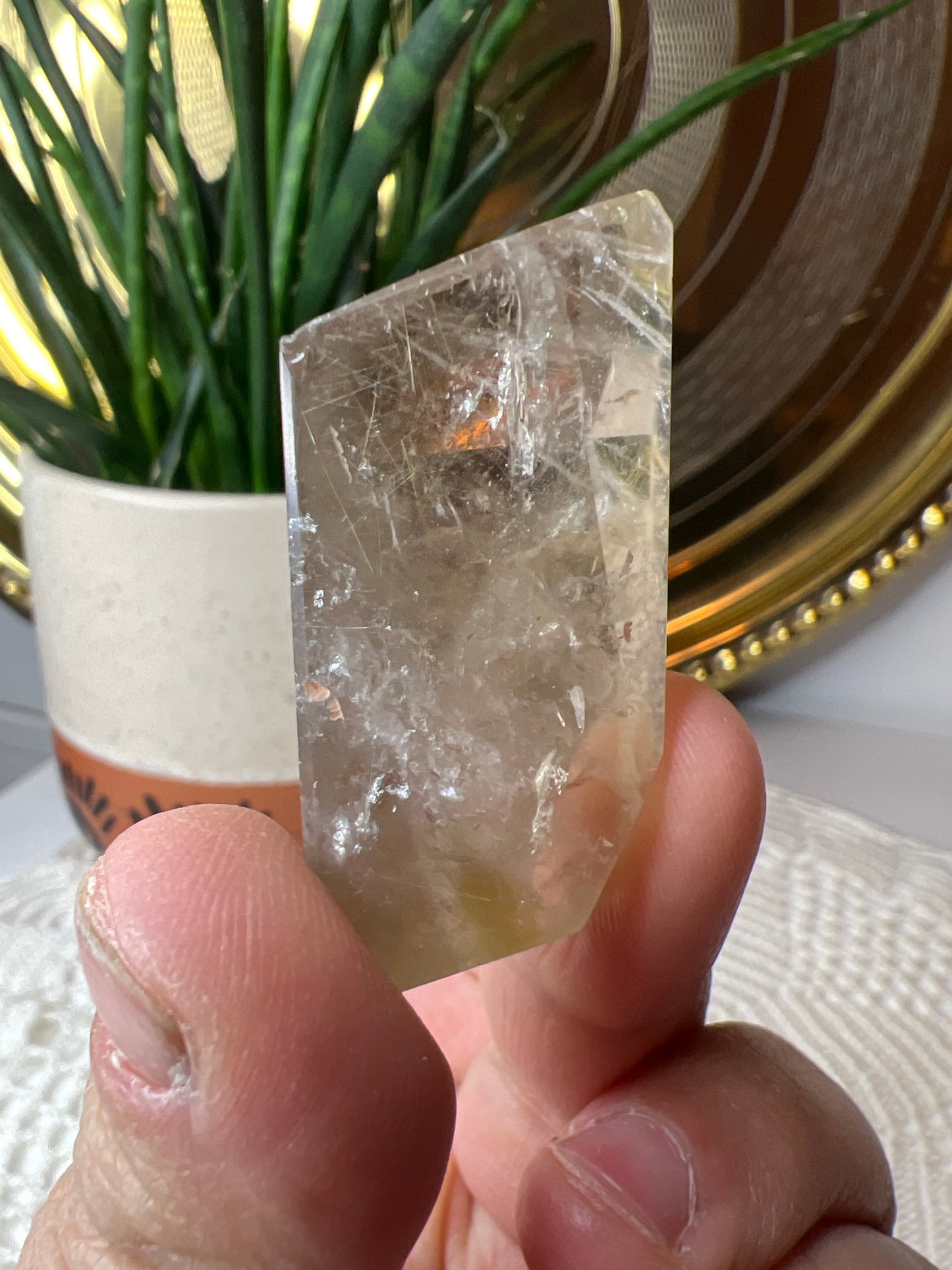 Ruitilated Quartz Gusher - Raven + Sage