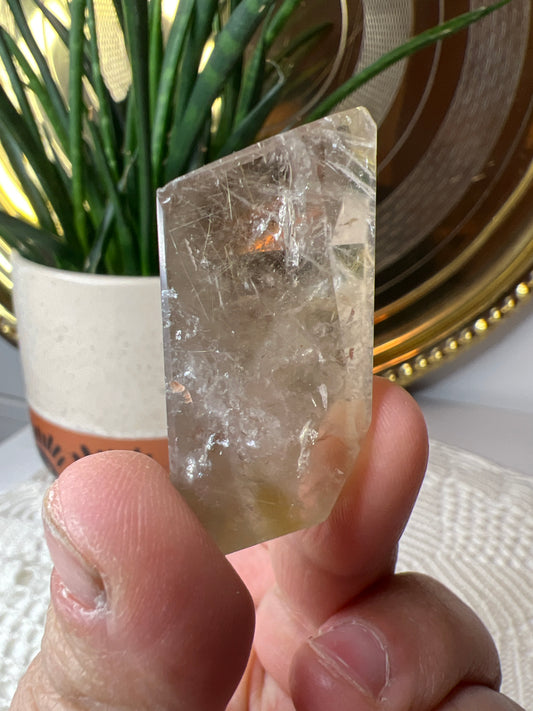 Ruitilated Quartz Gusher - Raven + Sage