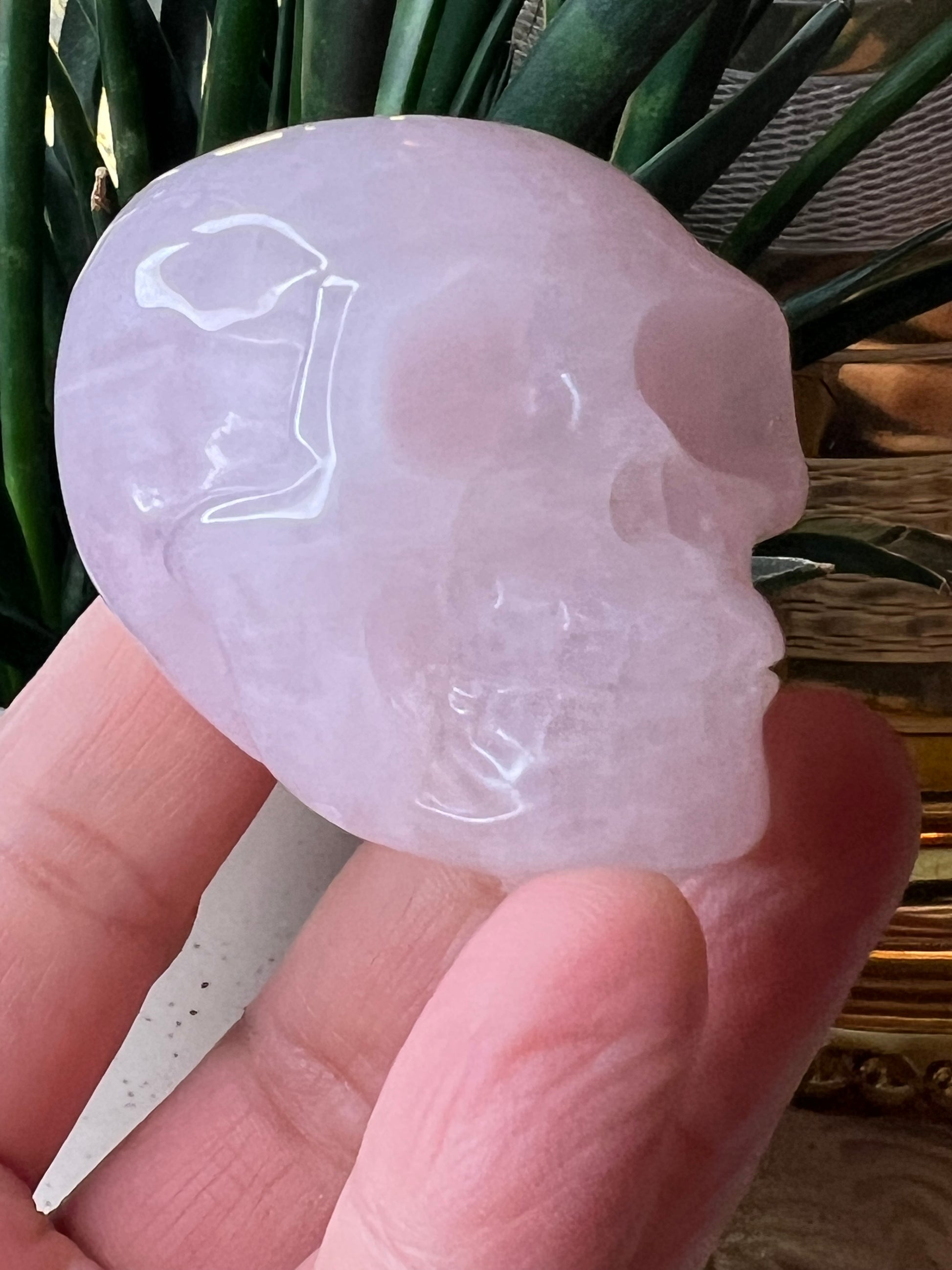 Rose Quartz Skull - Raven + Sage