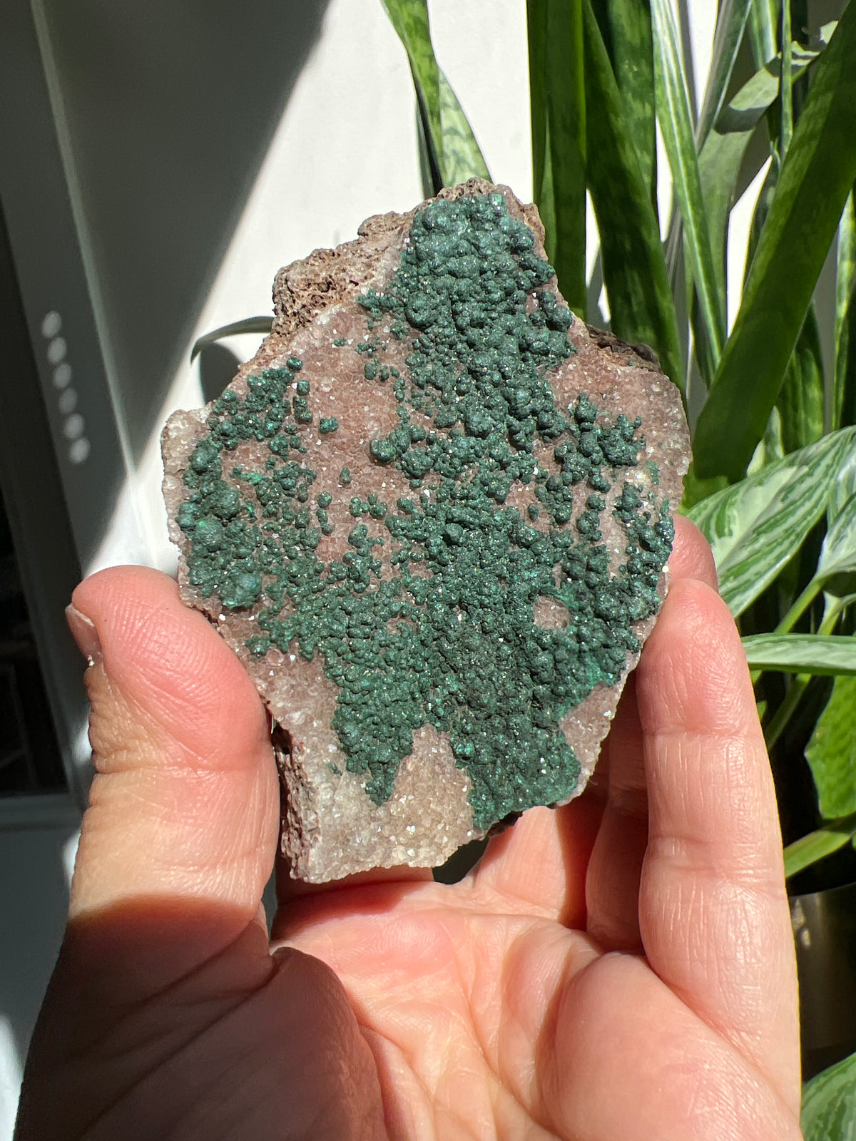 botryoidal malachite Cluster