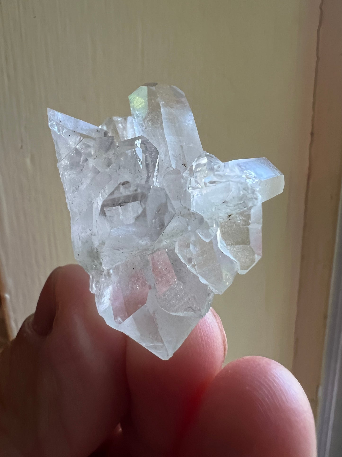 Himalayan Phantom Quartz with Chlorite