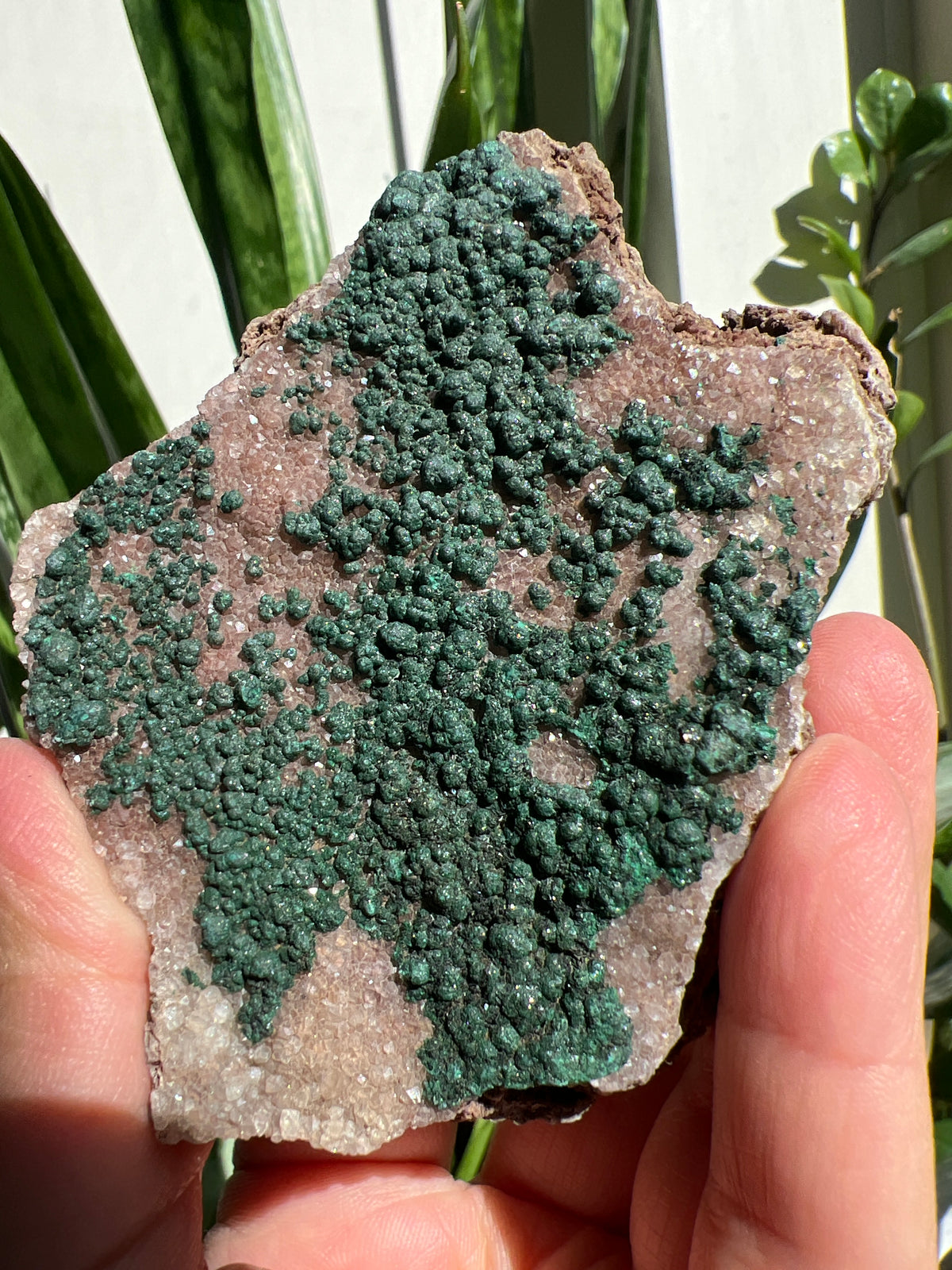 botryoidal malachite Cluster