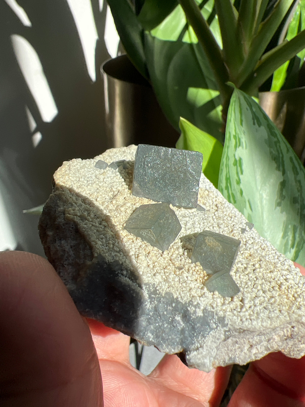 Morandi Fluorite