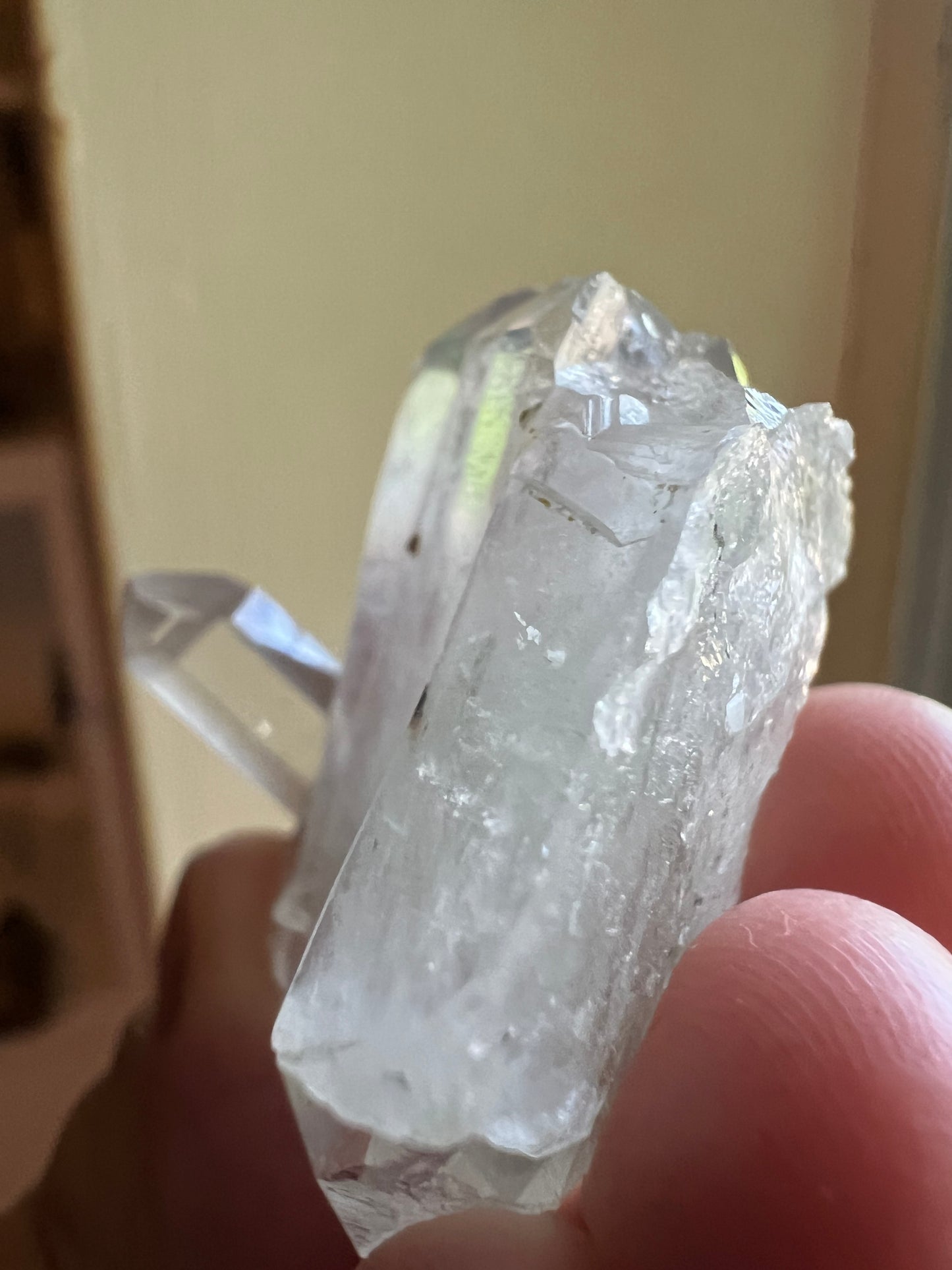 Himalayan Phantom Quartz with Chlorite