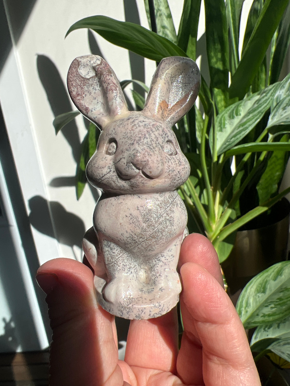 Dendritic Jasper Bunny