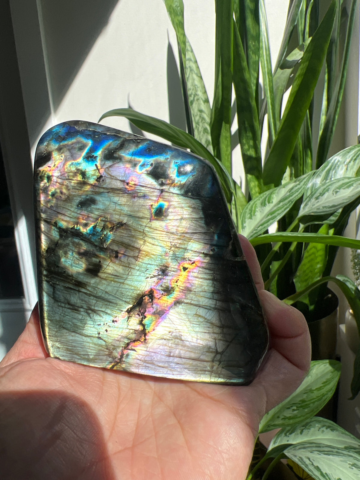 Magical Labradorite Freeform