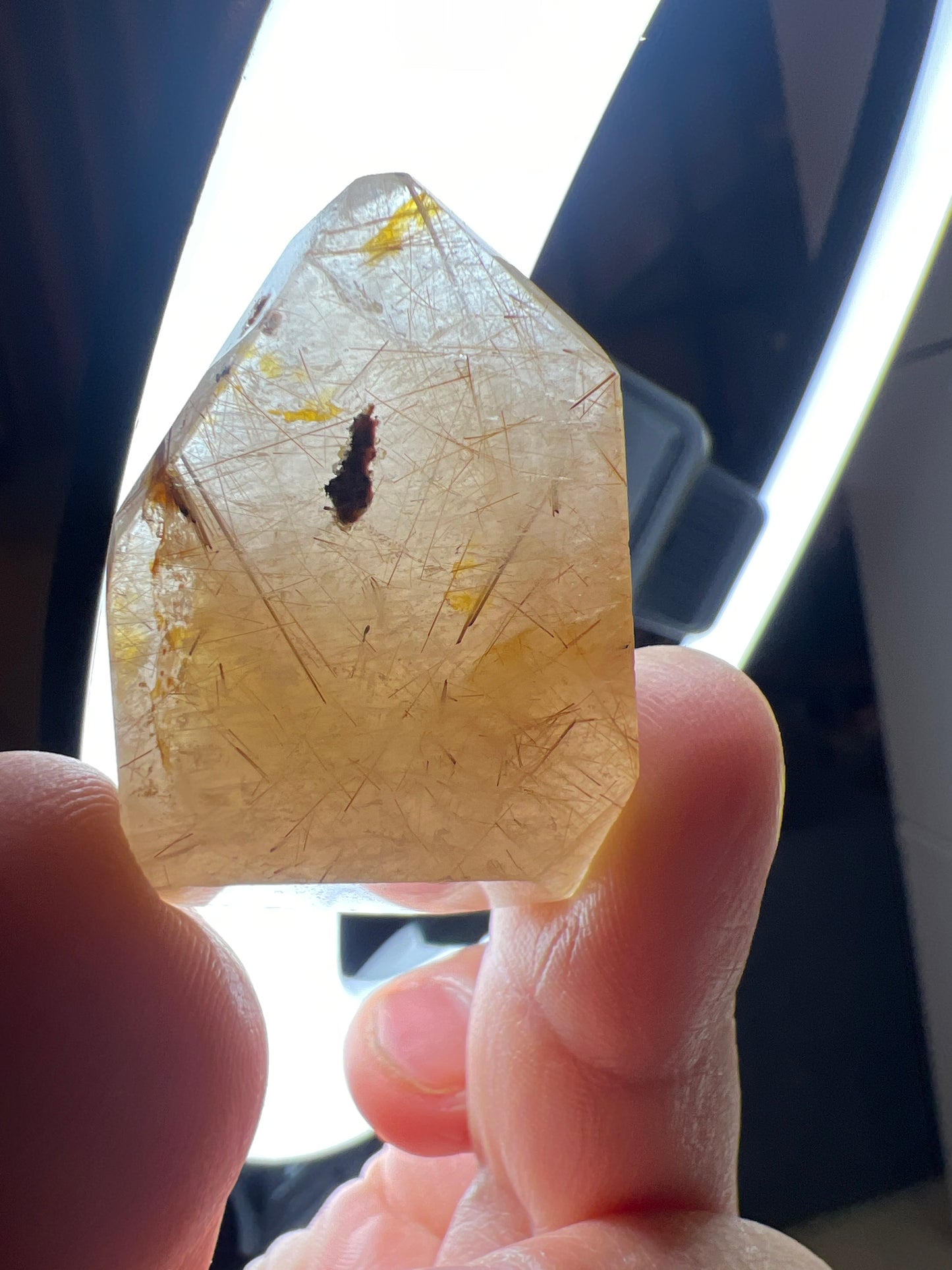 Ruitilated Quartz Gusher - Raven + Sage