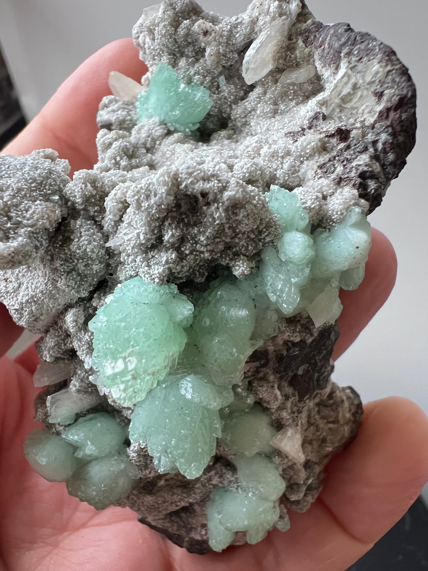 Green Apophyllite Cluster - India