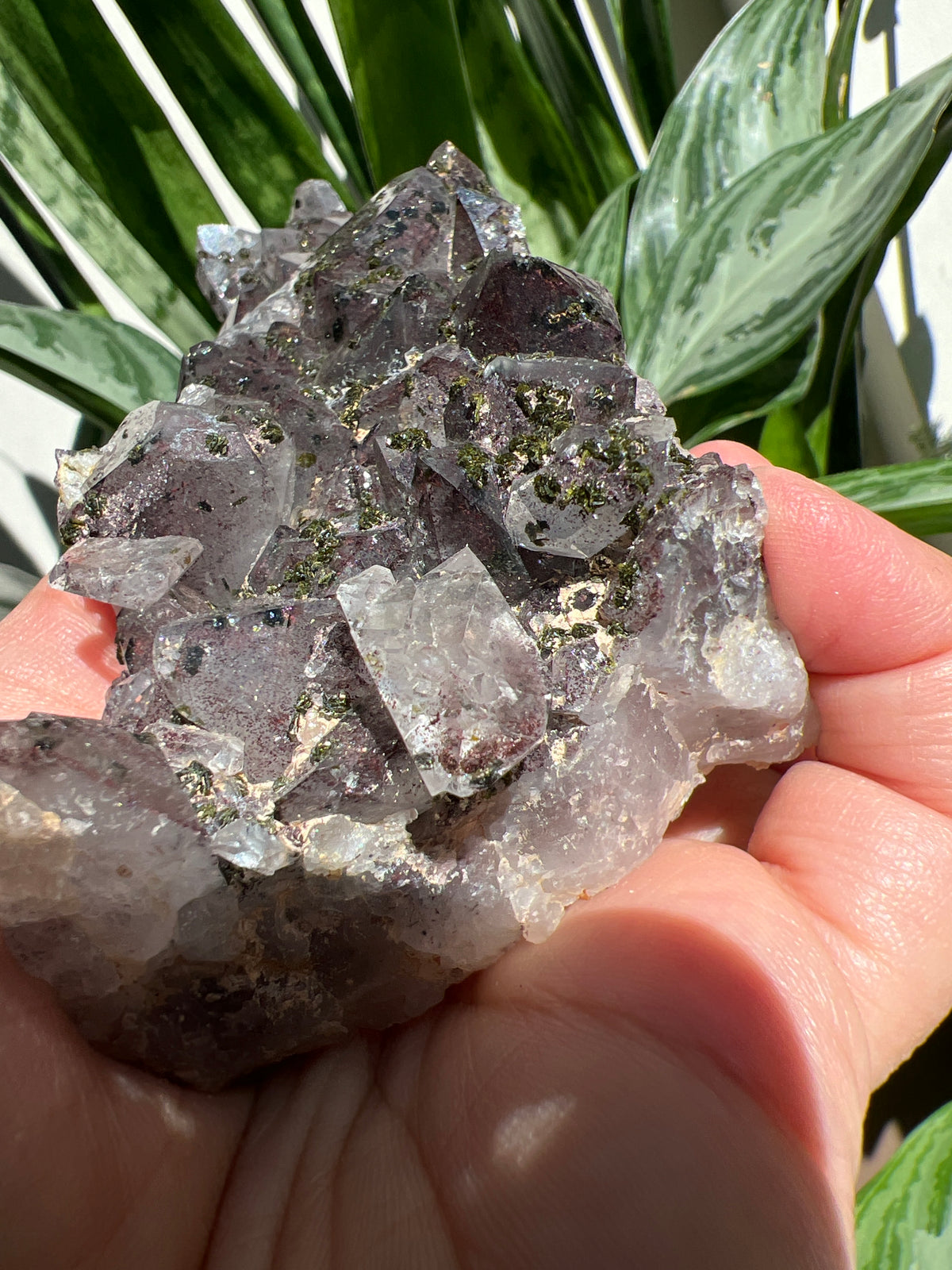 Rare* Super Seven with epidote Cluster